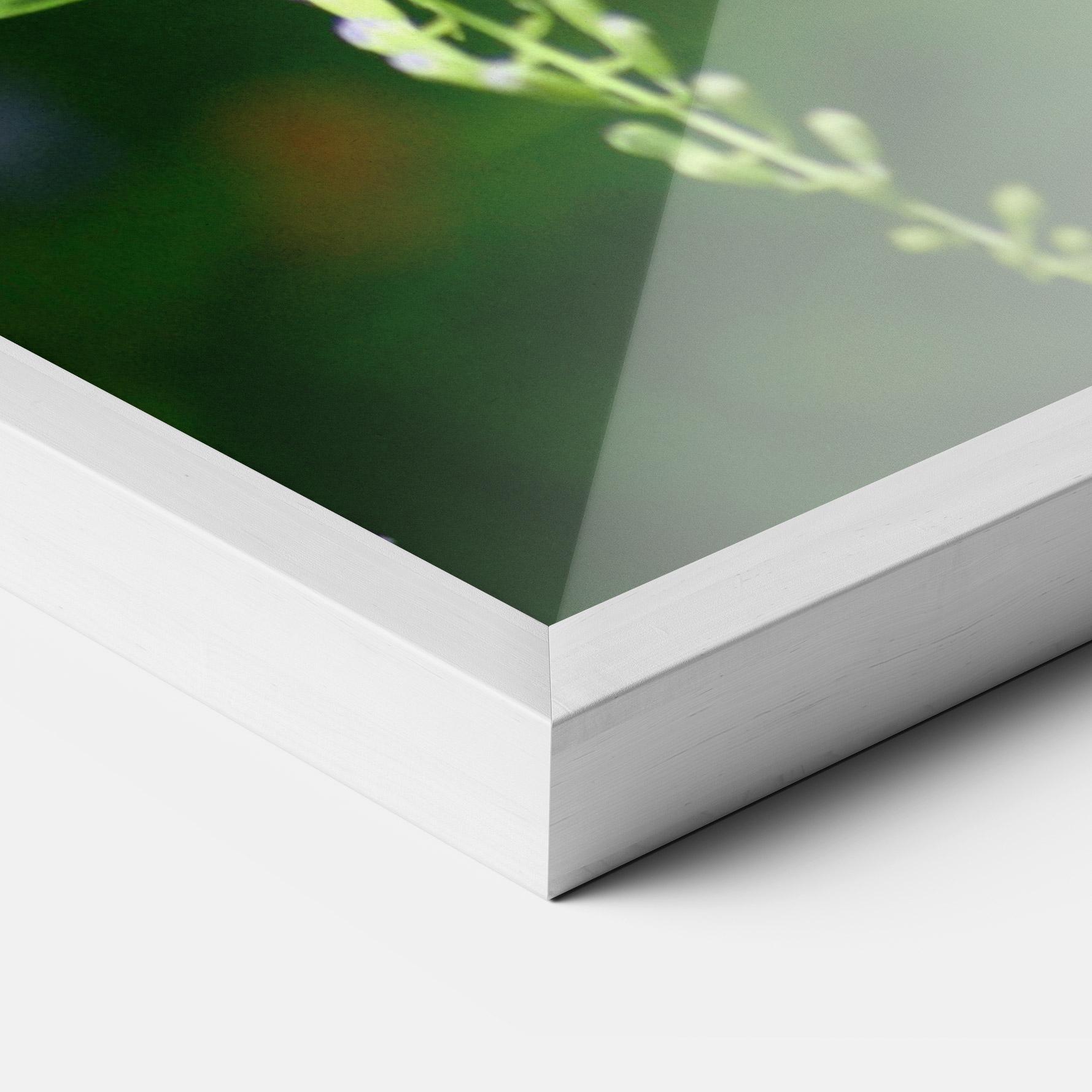 Рамкиран постер Pretty White Butterfly mockup 3