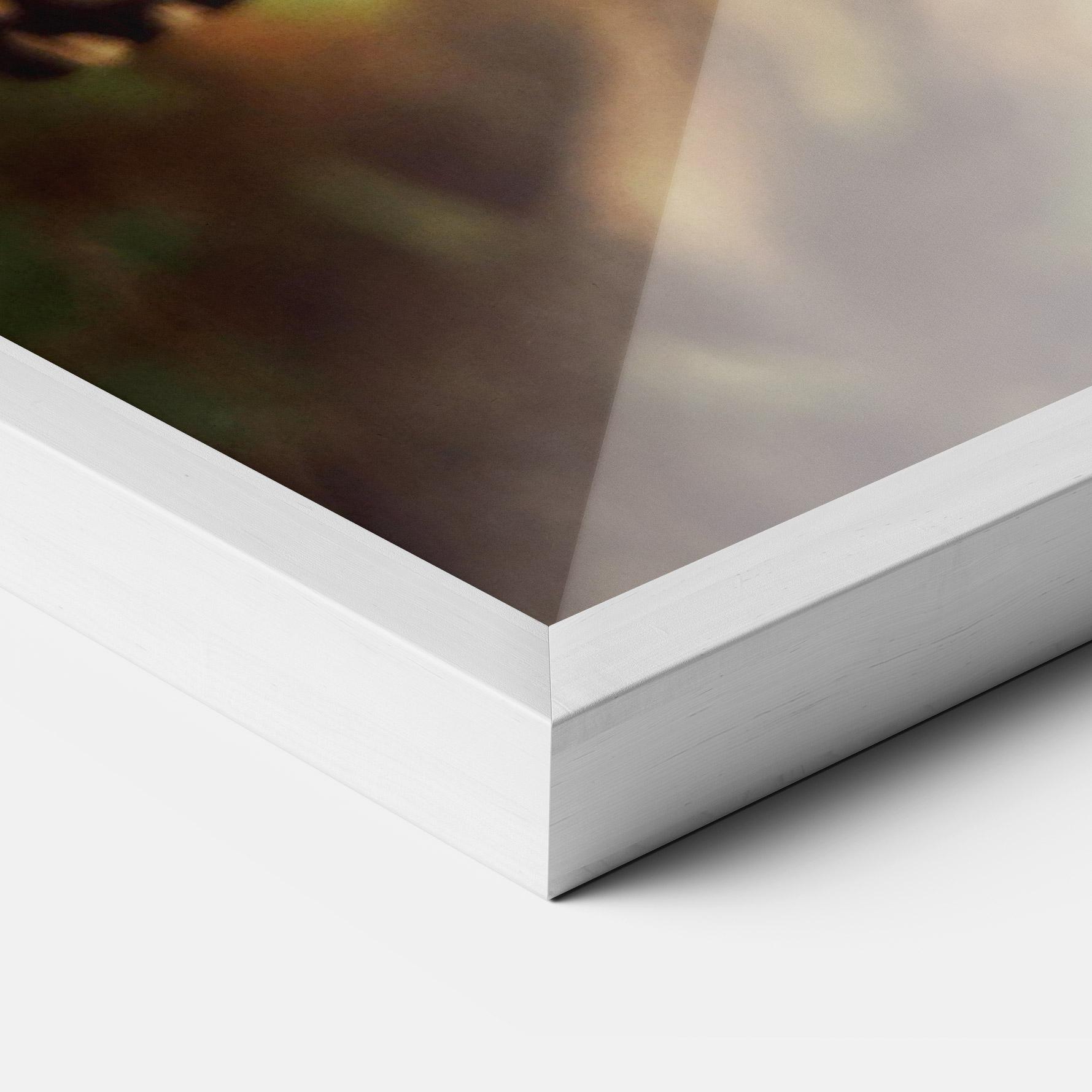 Рамкиран постер Wild Brown Butterfly mockup 3