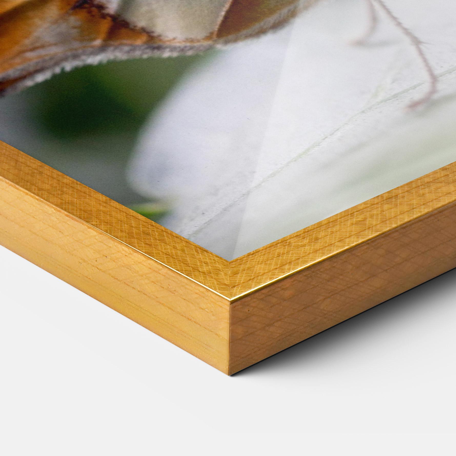 Рамкиран постер Brown Yellow Butterfly mockup 3