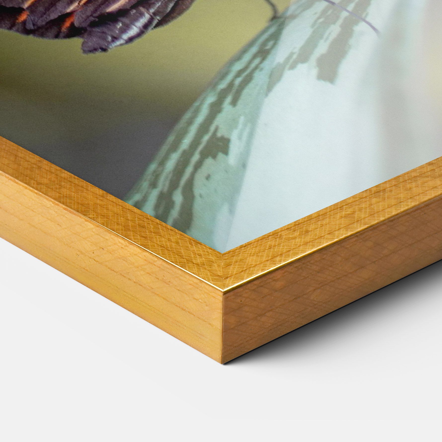 Dark Purple Butterfly mockup 3