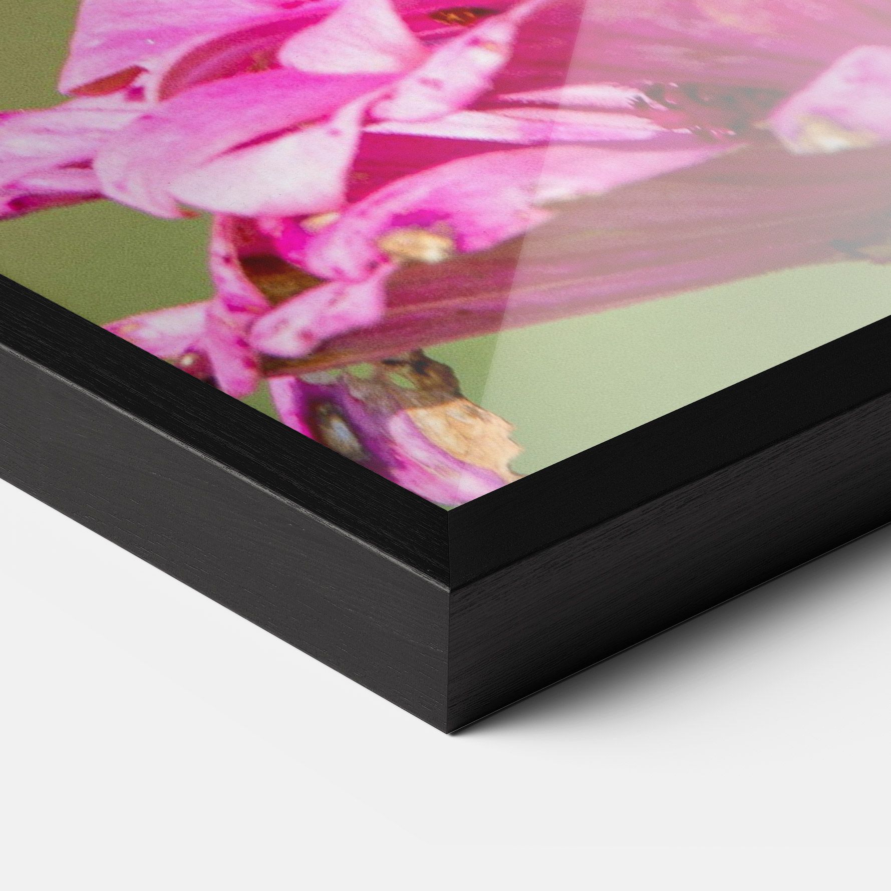 Blue Grey Butterfly mockup 3