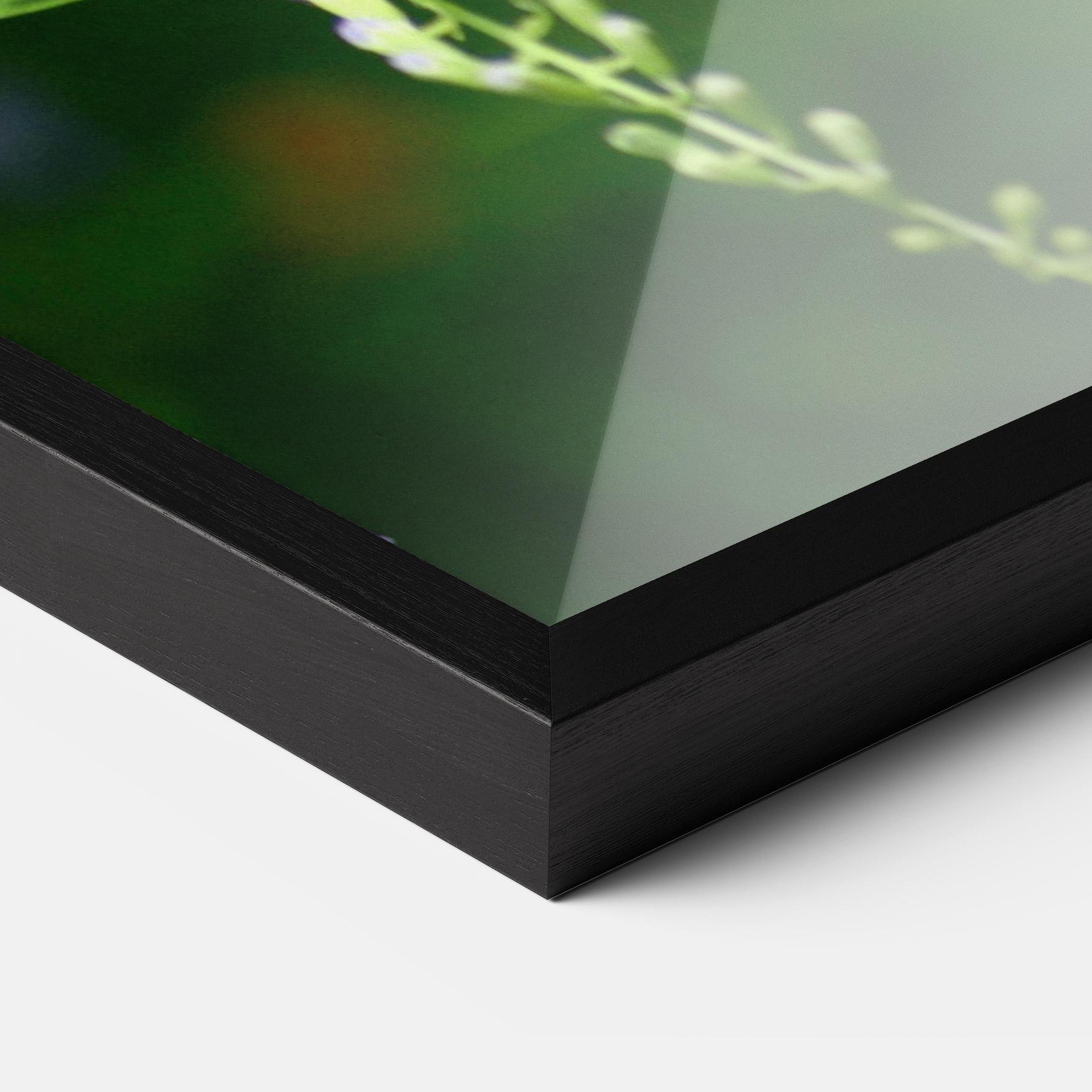 Рамкиран постер Pretty White Butterfly mockup 3