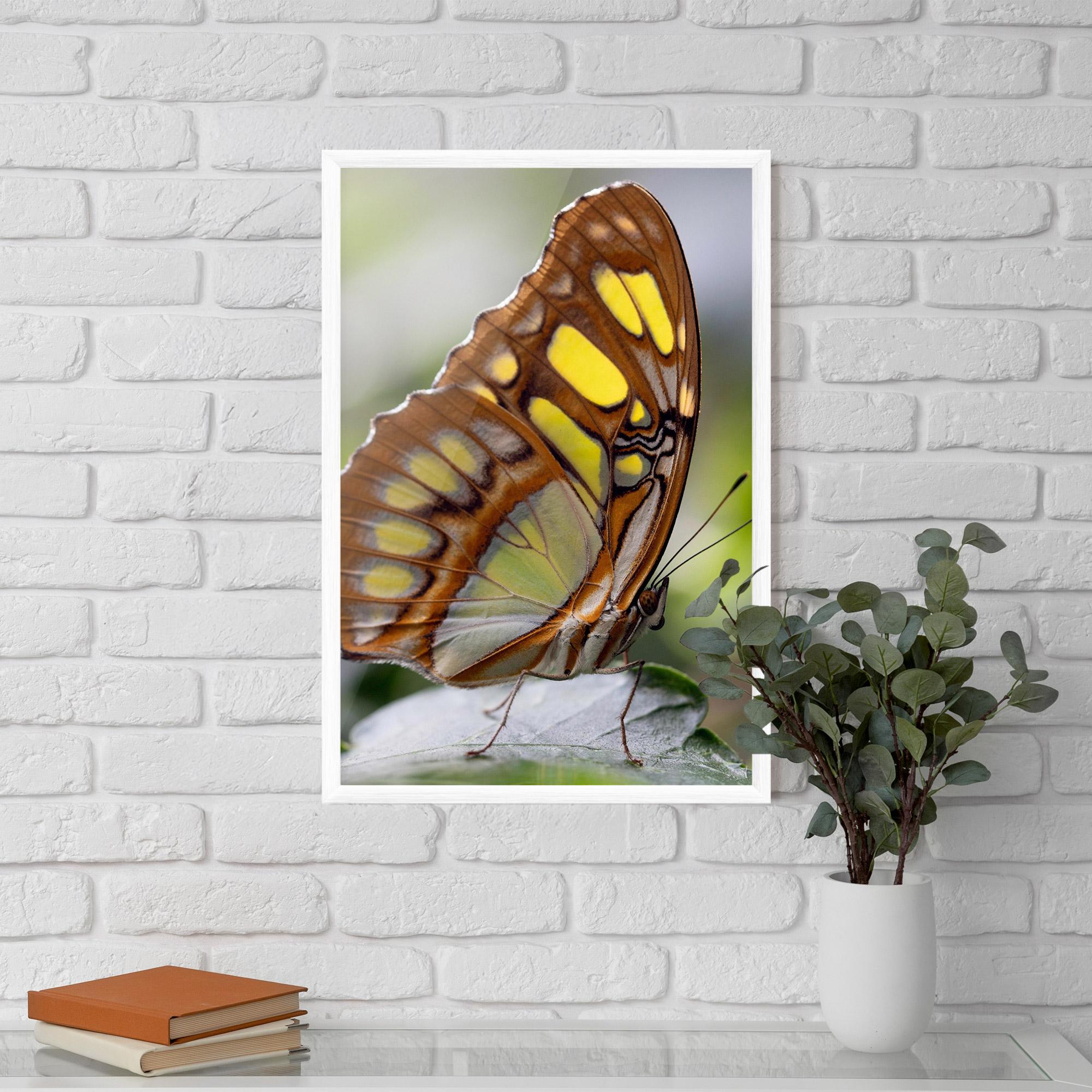 Рамкиран постер Brown Yellow Butterfly mockup 5