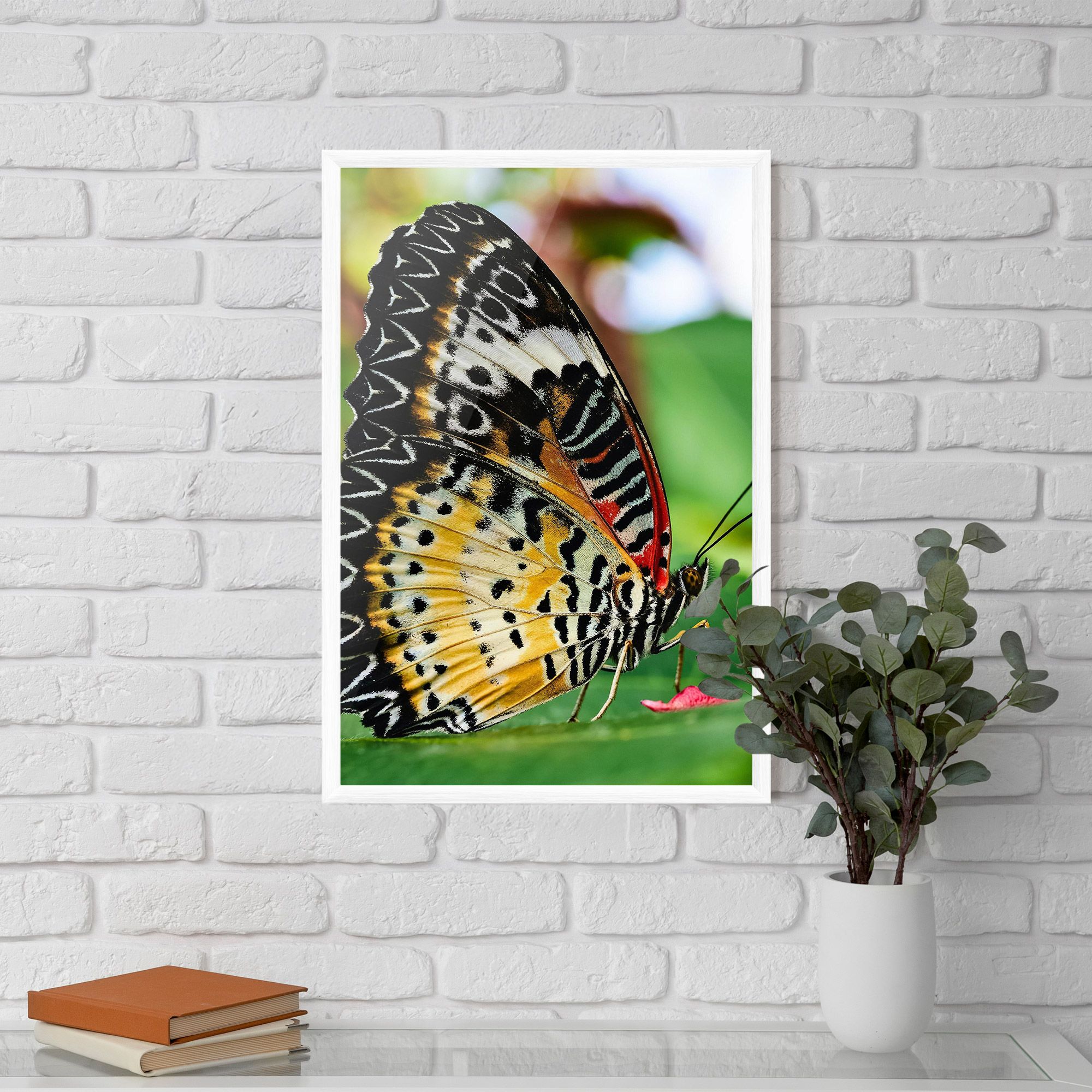 Pretty Colorful Butterfly mockup 5