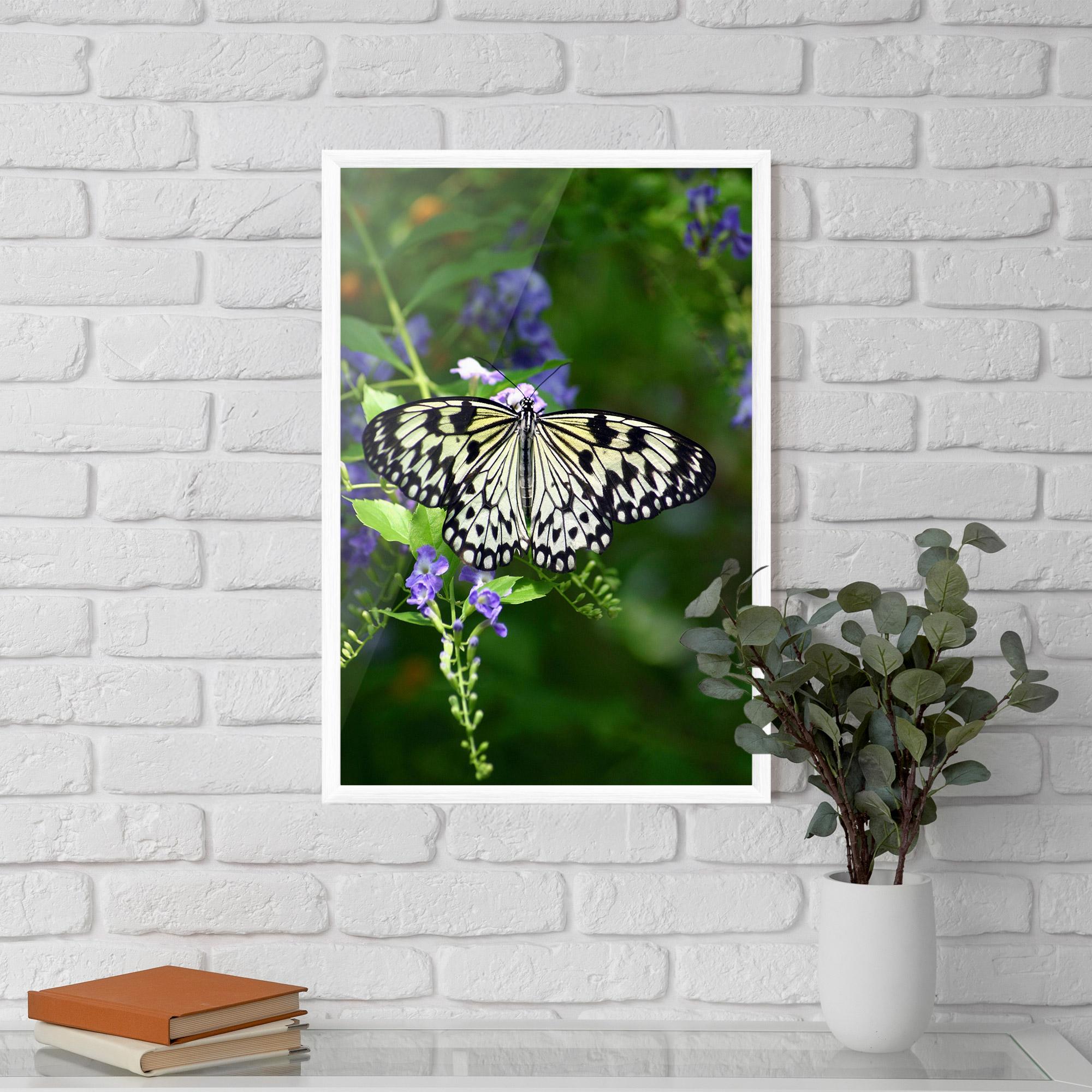 Рамкиран постер Pretty White Butterfly mockup 5