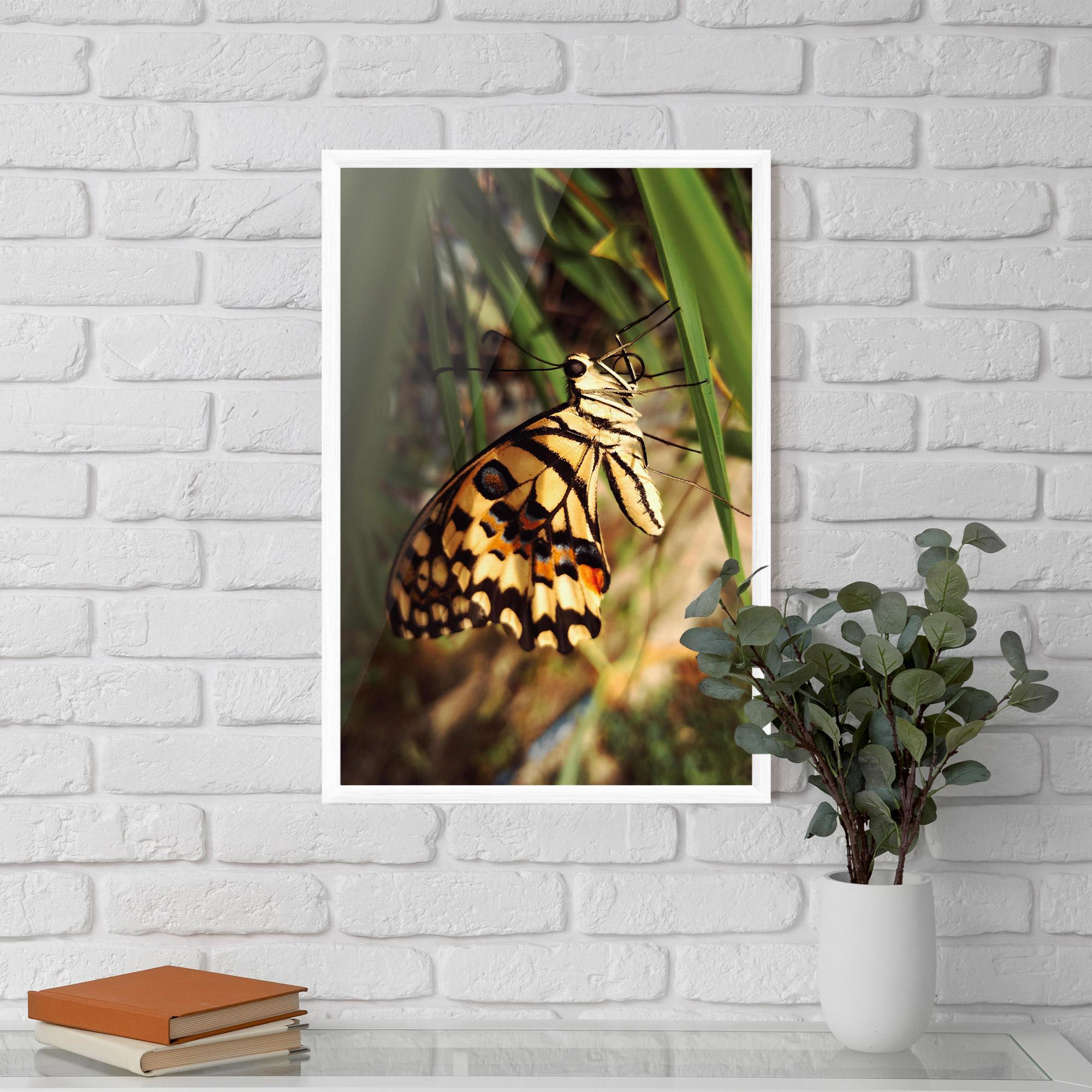 Рамкиран постер Wild Brown Butterfly mockup 5