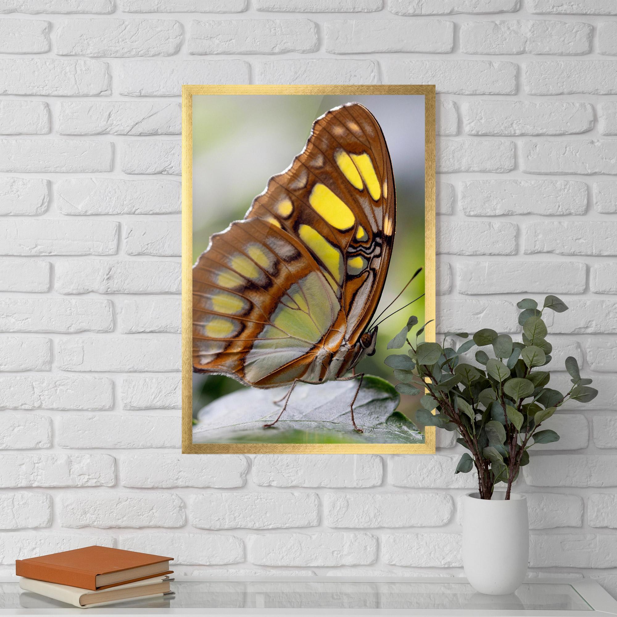 Рамкиран постер Brown Yellow Butterfly mockup 5