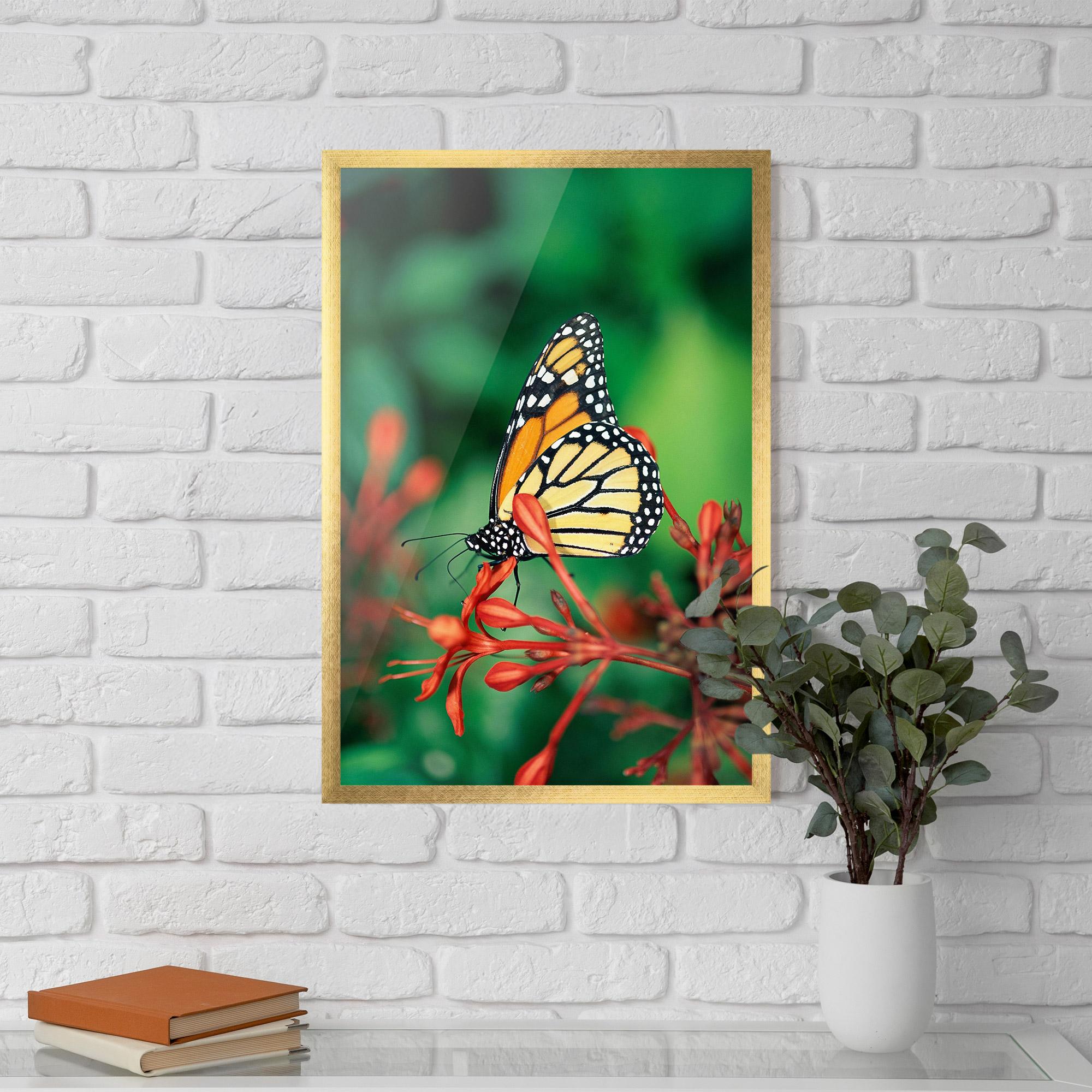 Рамкиран постер Small Orange Butterfly mockup 5