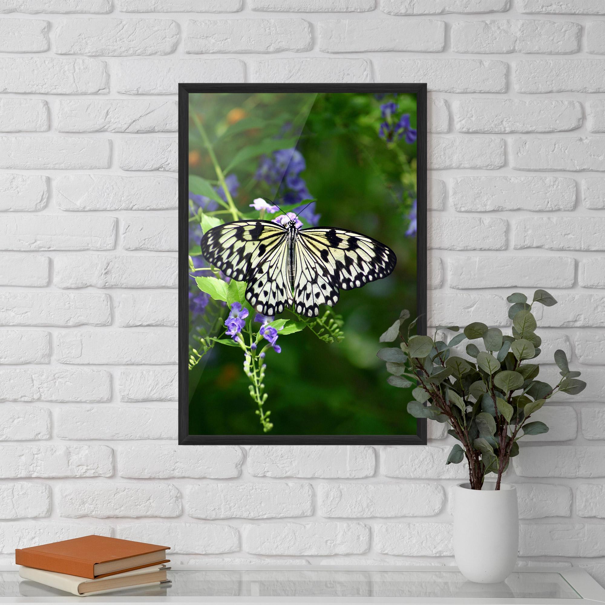 Рамкиран постер Pretty White Butterfly mockup 5