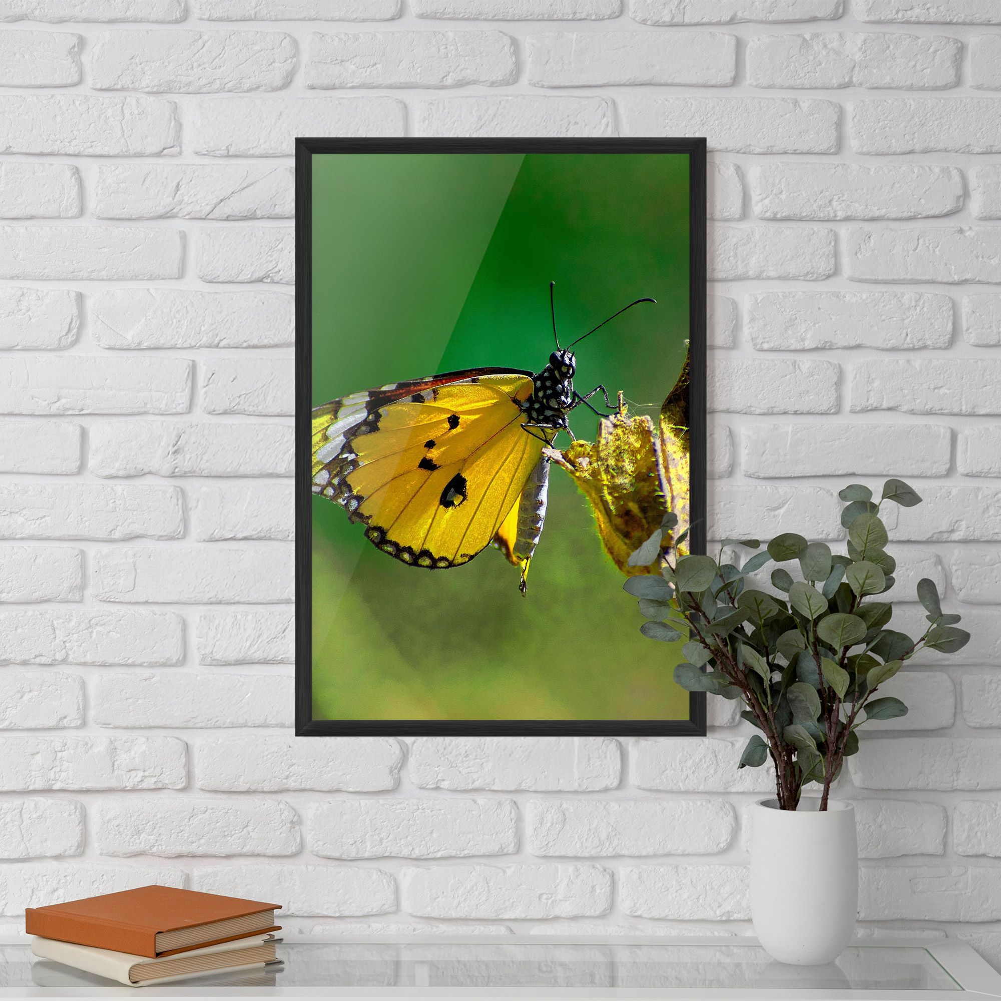 Yellow White Butterfly mockup 5