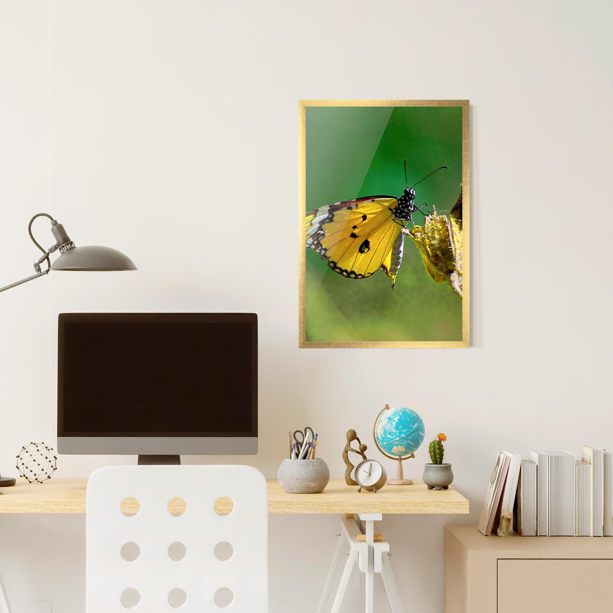 Рамкиран постер Yellow White Butterfly mockup 6
