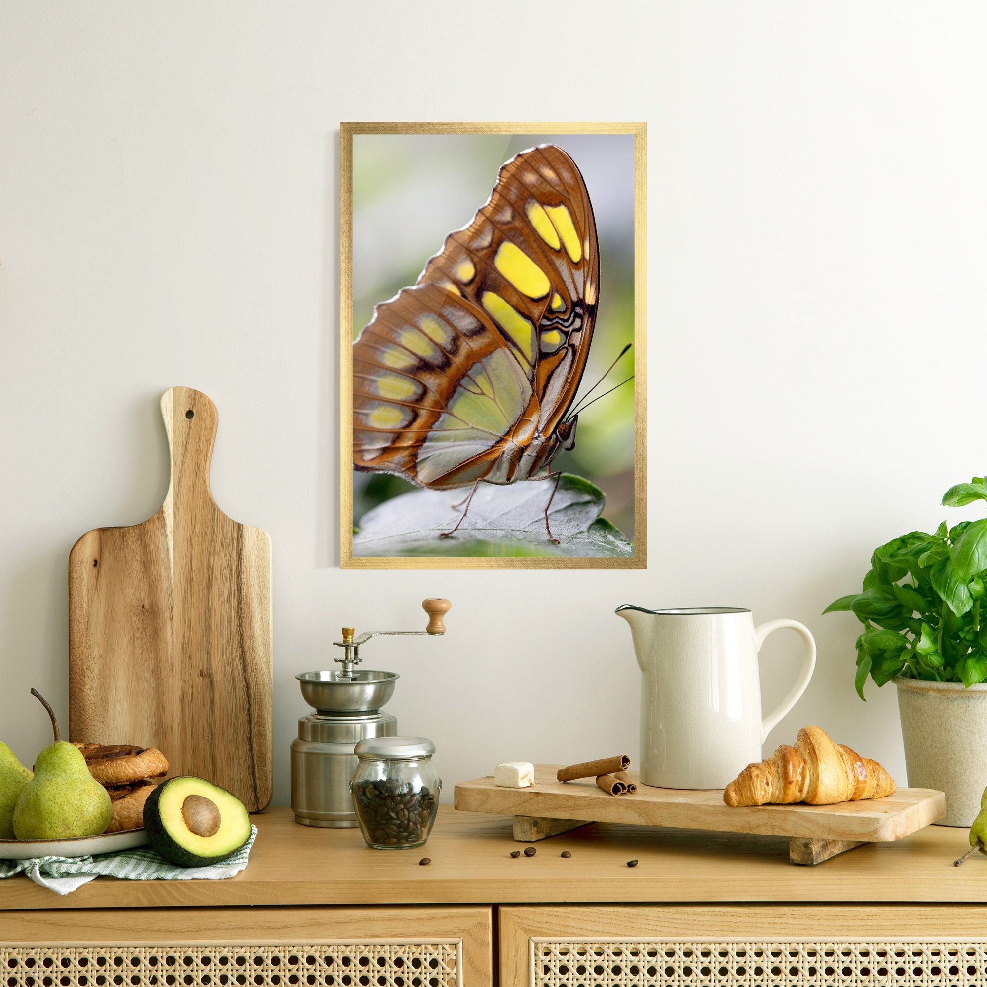Brown Yellow Butterfly mockup 8