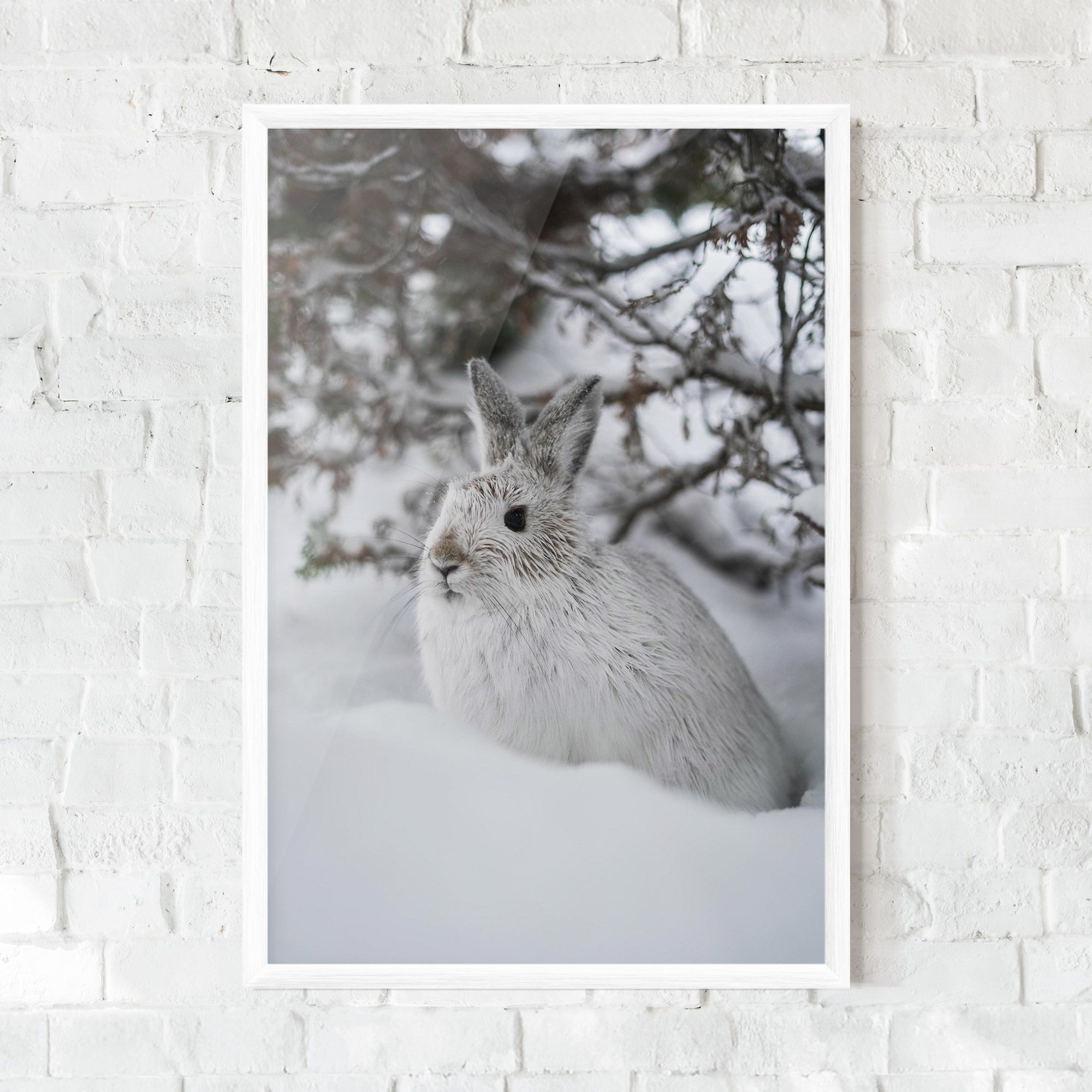 Bunny In Snow mockup 0