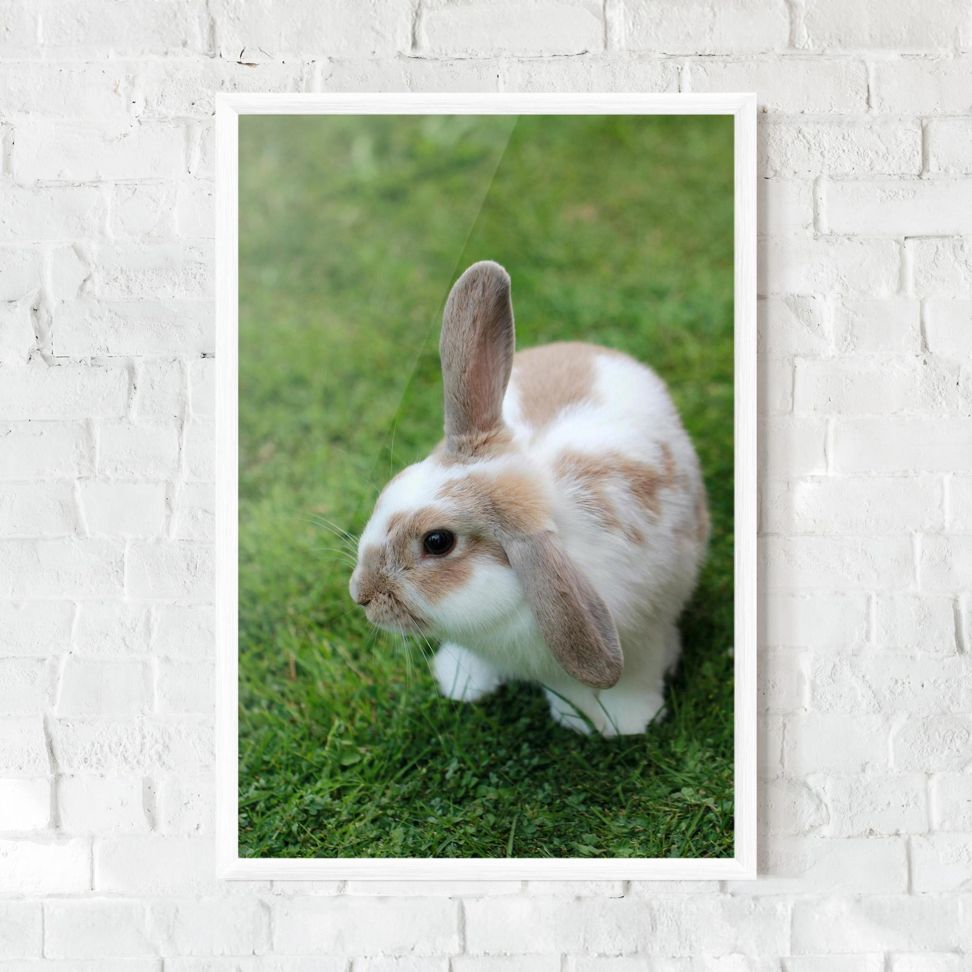 Рамкиран постер Light Orange Bunny mockup 0