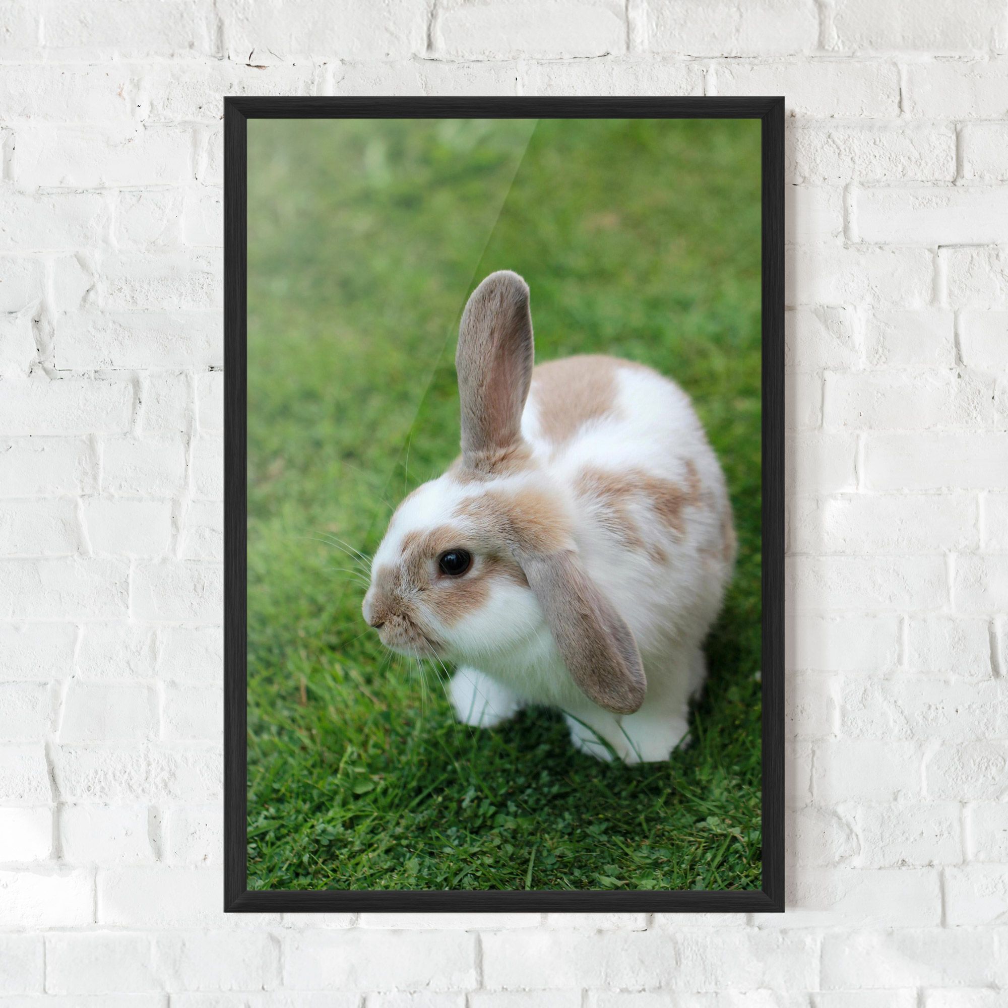 Light Orange Bunny mockup 0