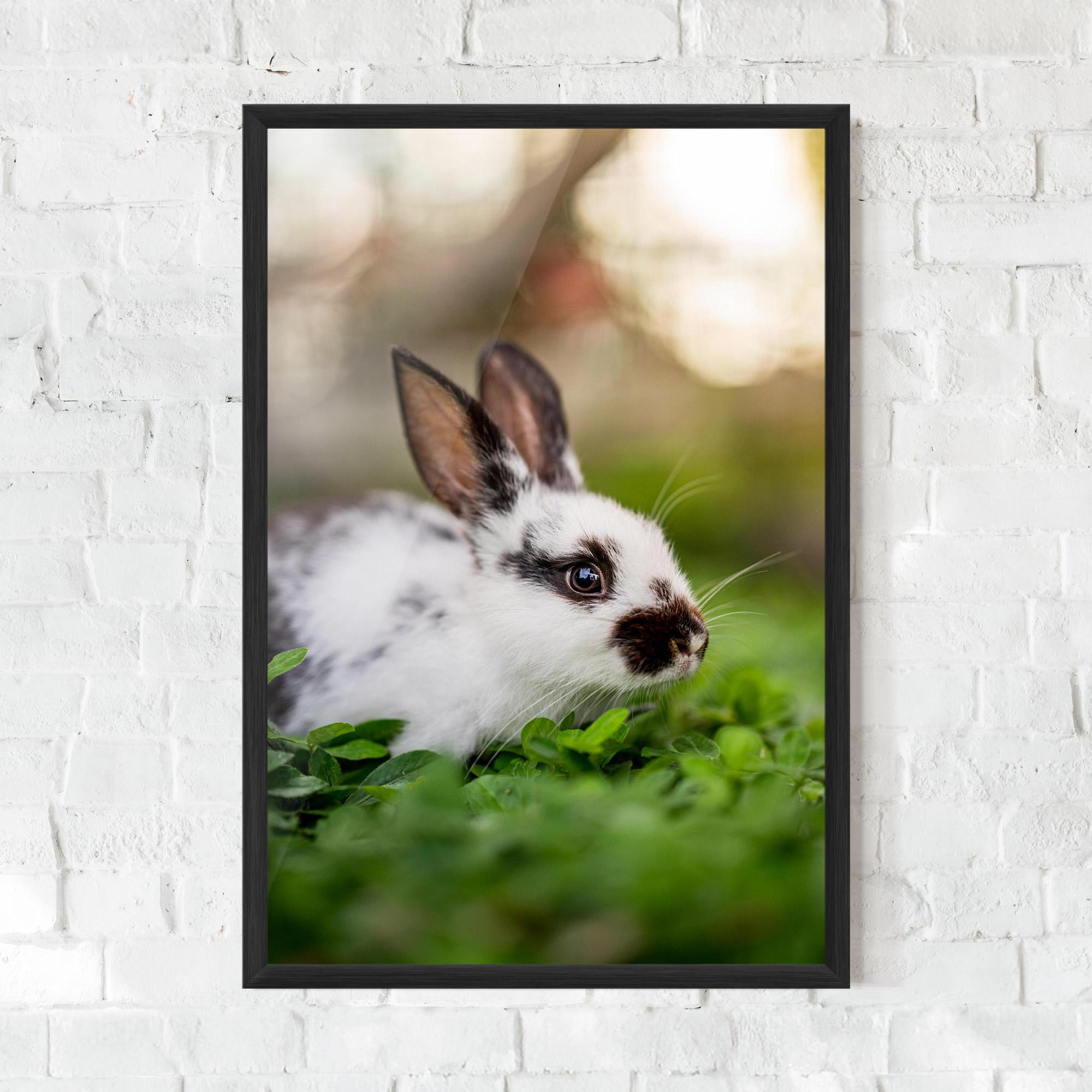 Рамкиран постер White Black Bunny mockup 0