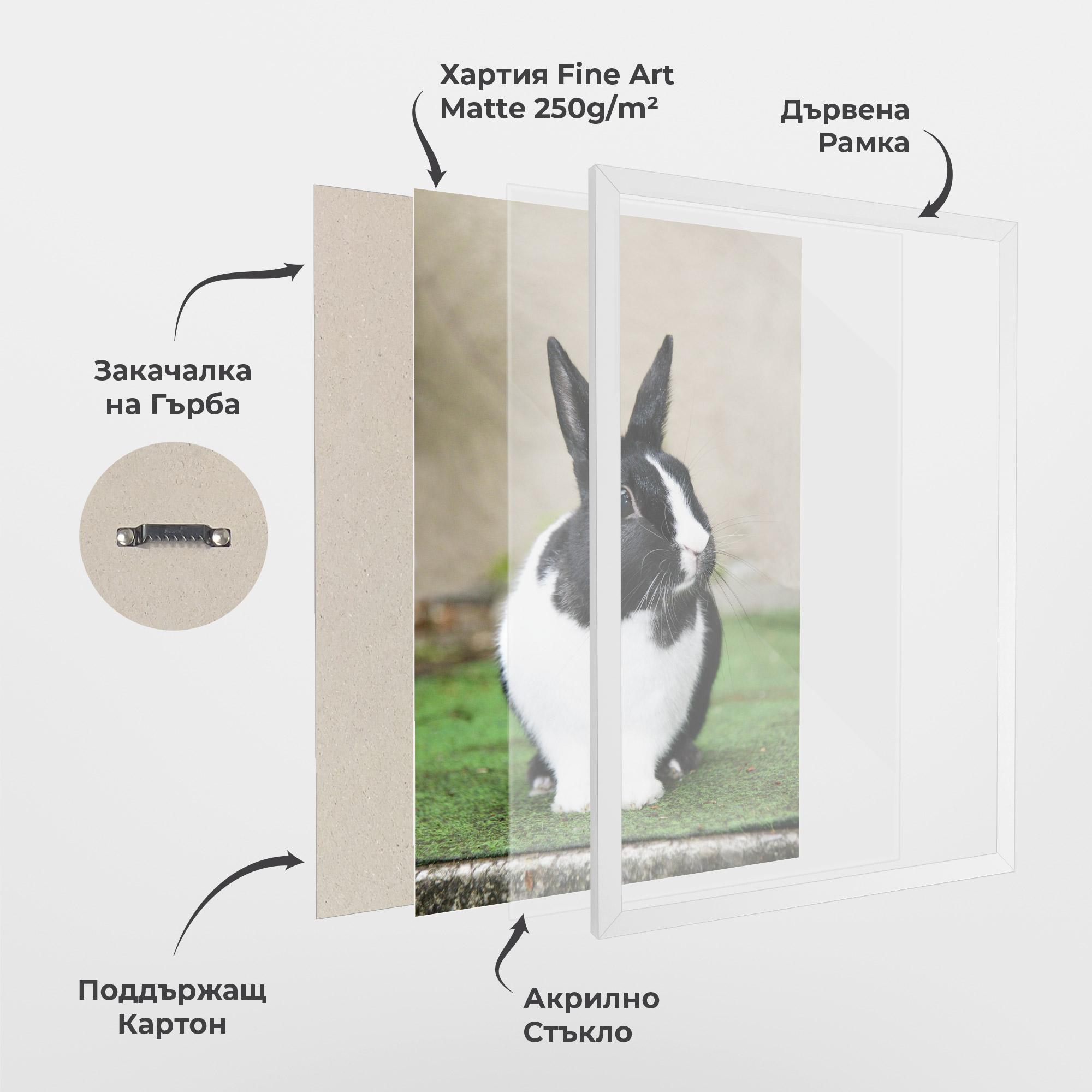 Рамкиран постер Black Ear Rabbit mockup 1