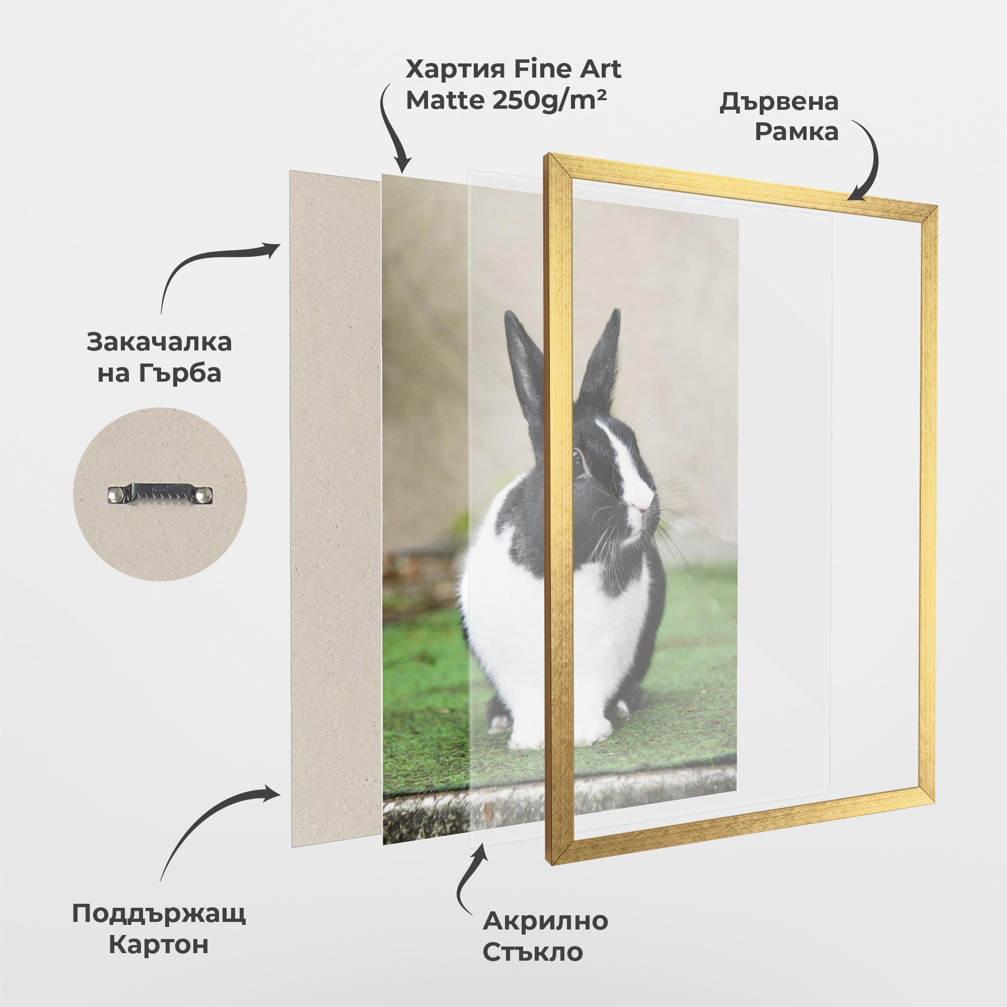 Рамкиран постер Black Ear Rabbit mockup 1