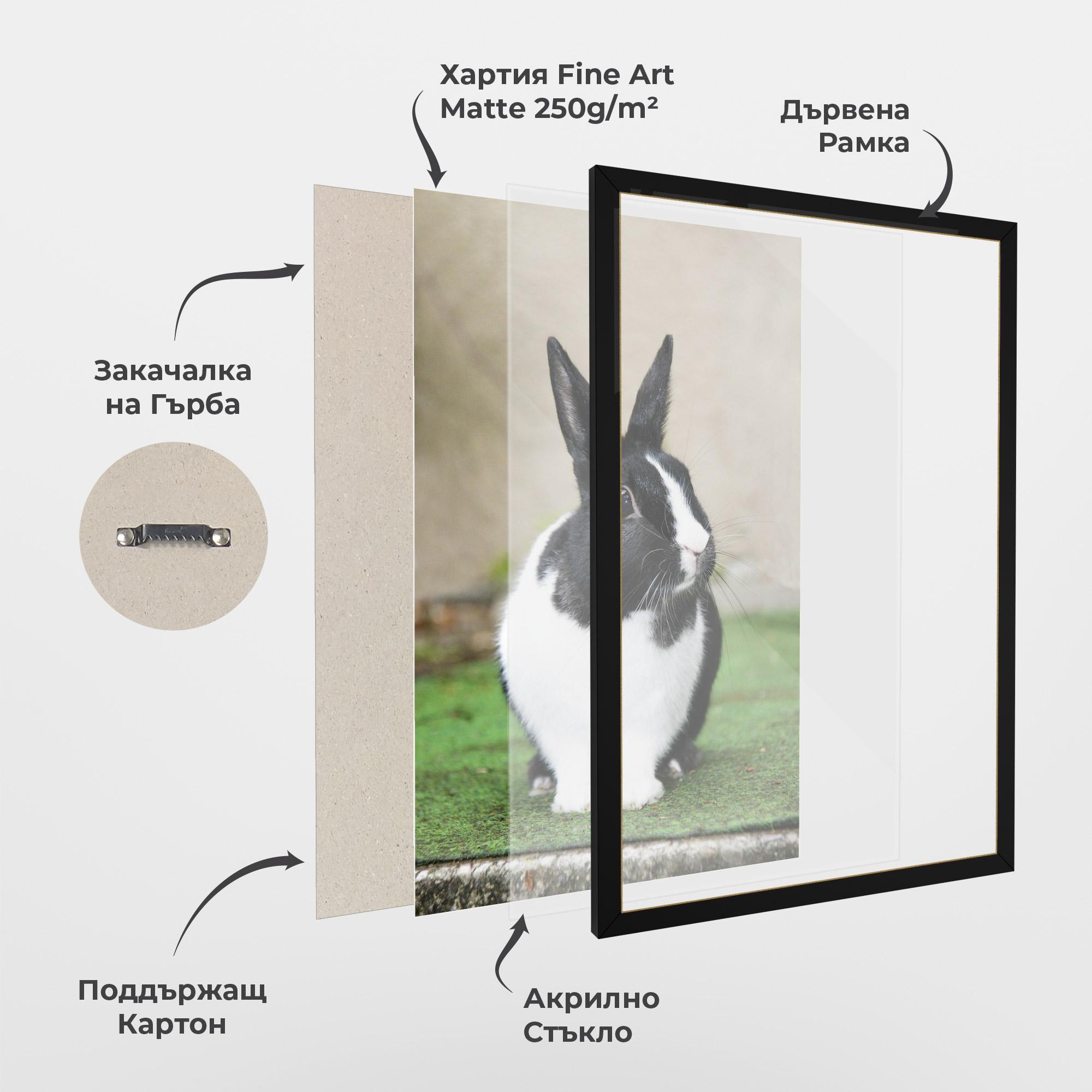 Рамкиран постер Black Ear Rabbit mockup 1