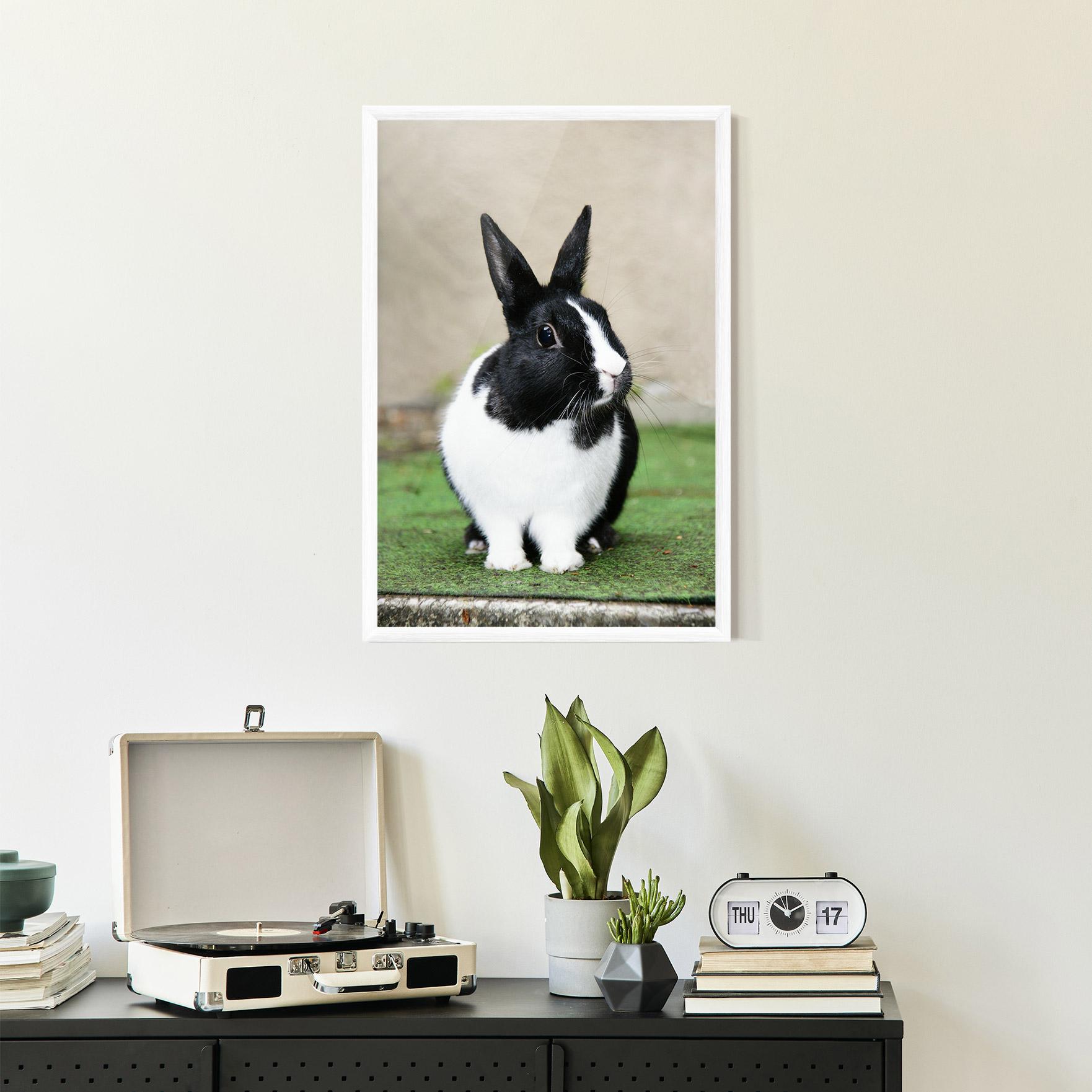 Рамкиран постер Black Ear Rabbit mockup 2