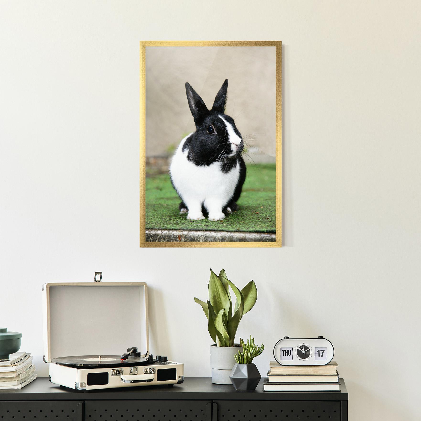 Рамкиран постер Black Ear Rabbit mockup 2