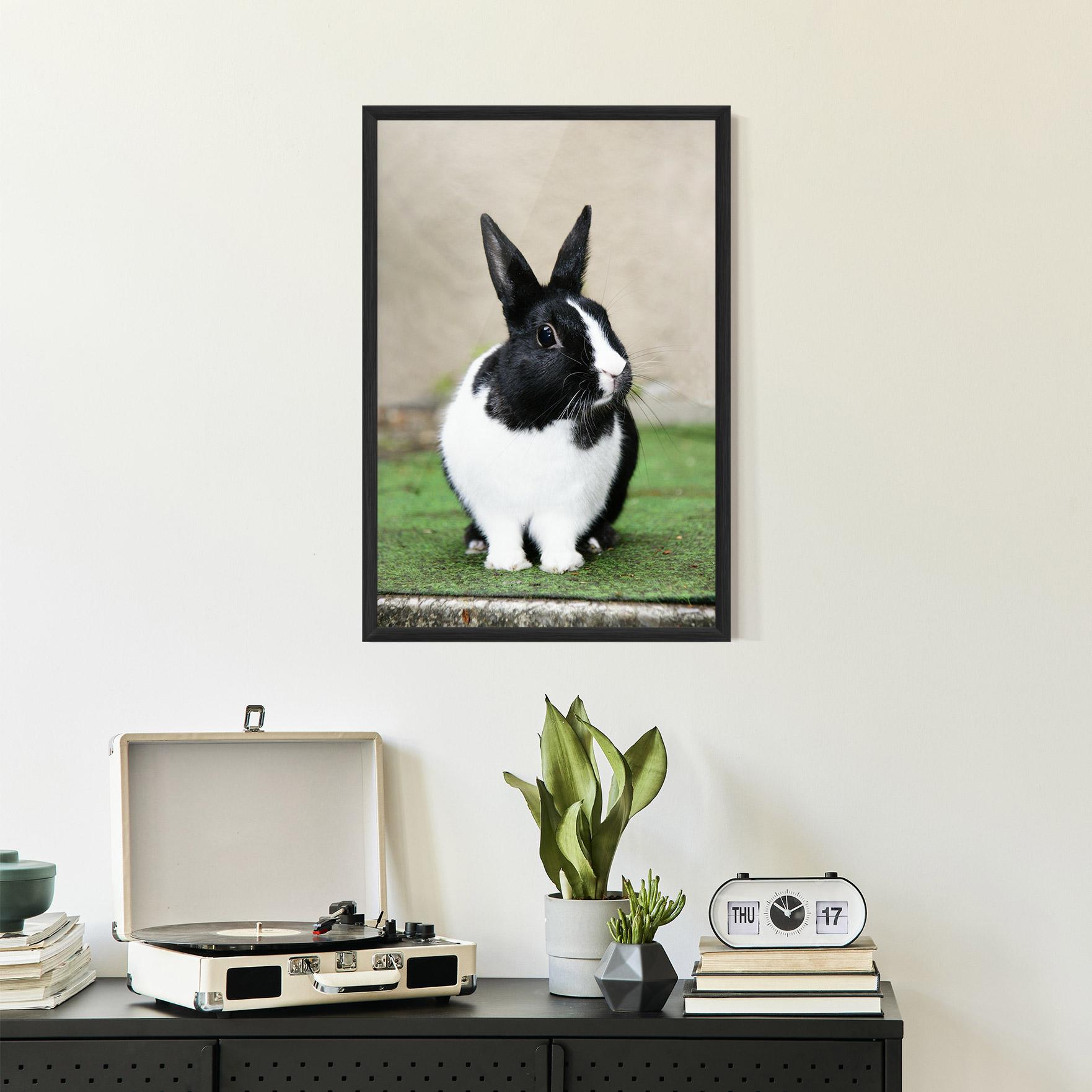 Рамкиран постер Black Ear Rabbit mockup 2