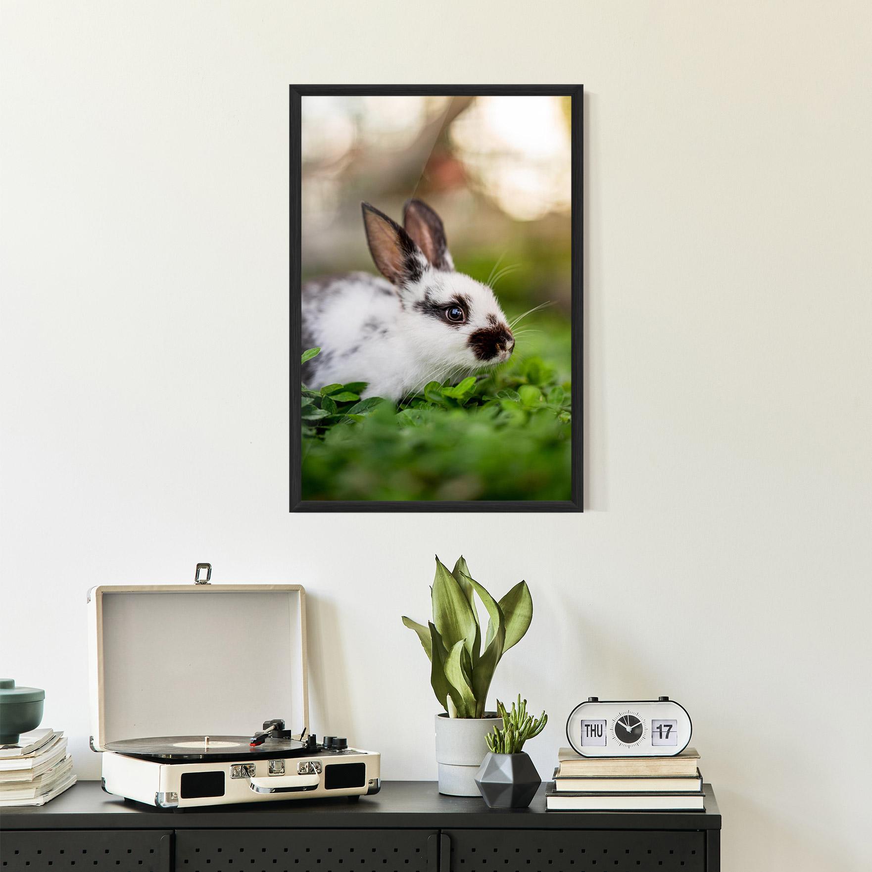 Рамкиран постер White Black Bunny mockup 2