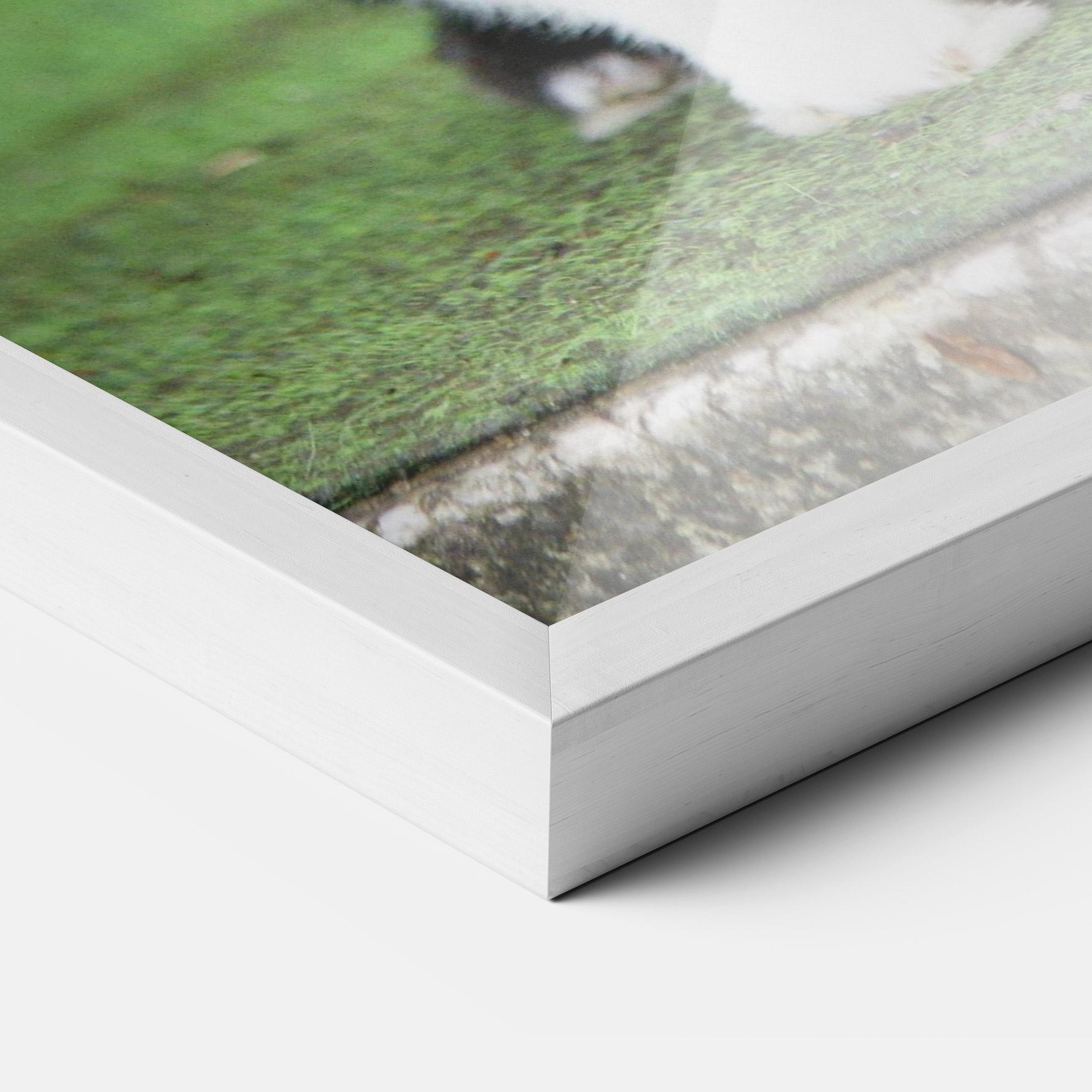 Рамкиран постер Black Ear Rabbit mockup 3