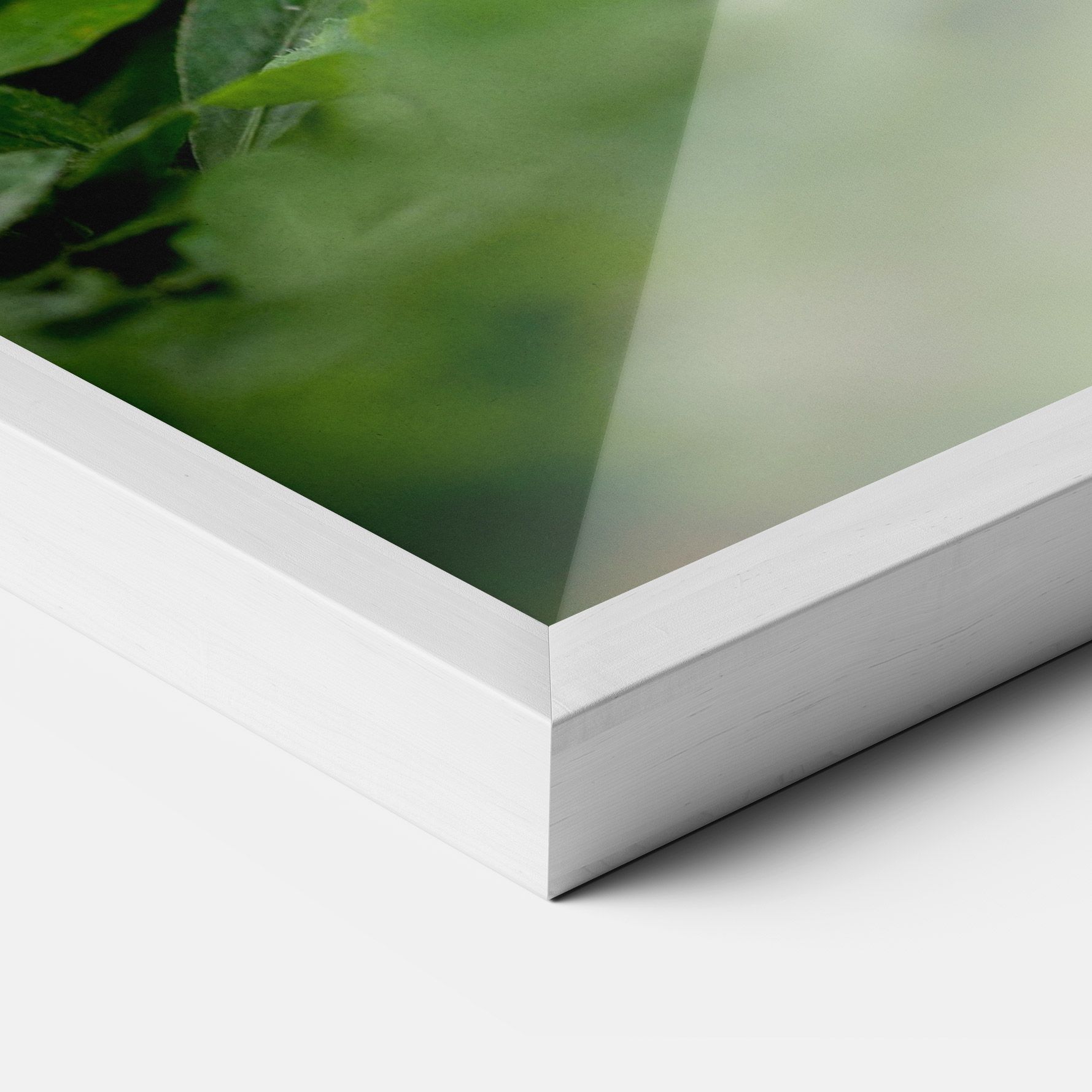 White Black Bunny mockup 3