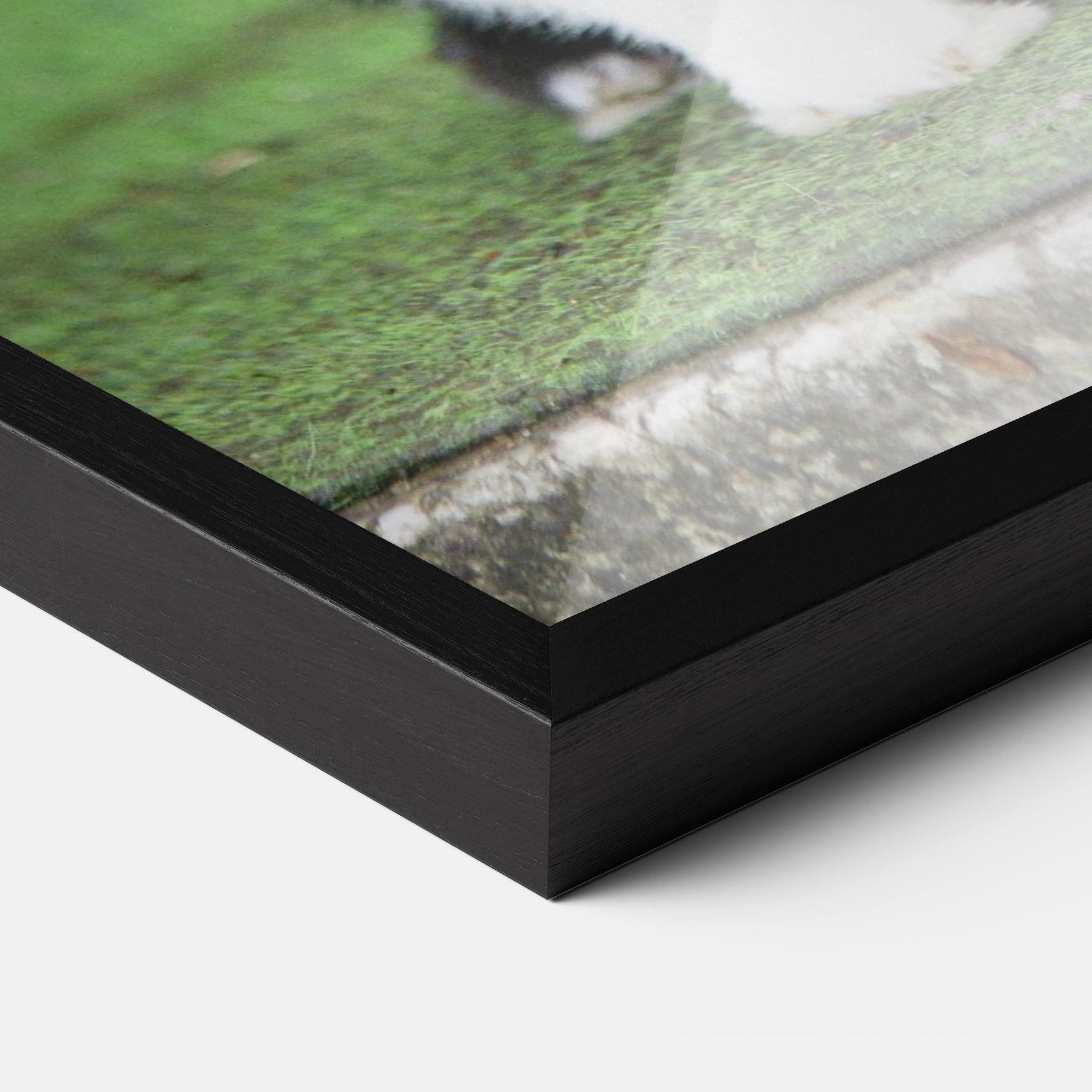 Рамкиран постер Black Ear Rabbit mockup 3