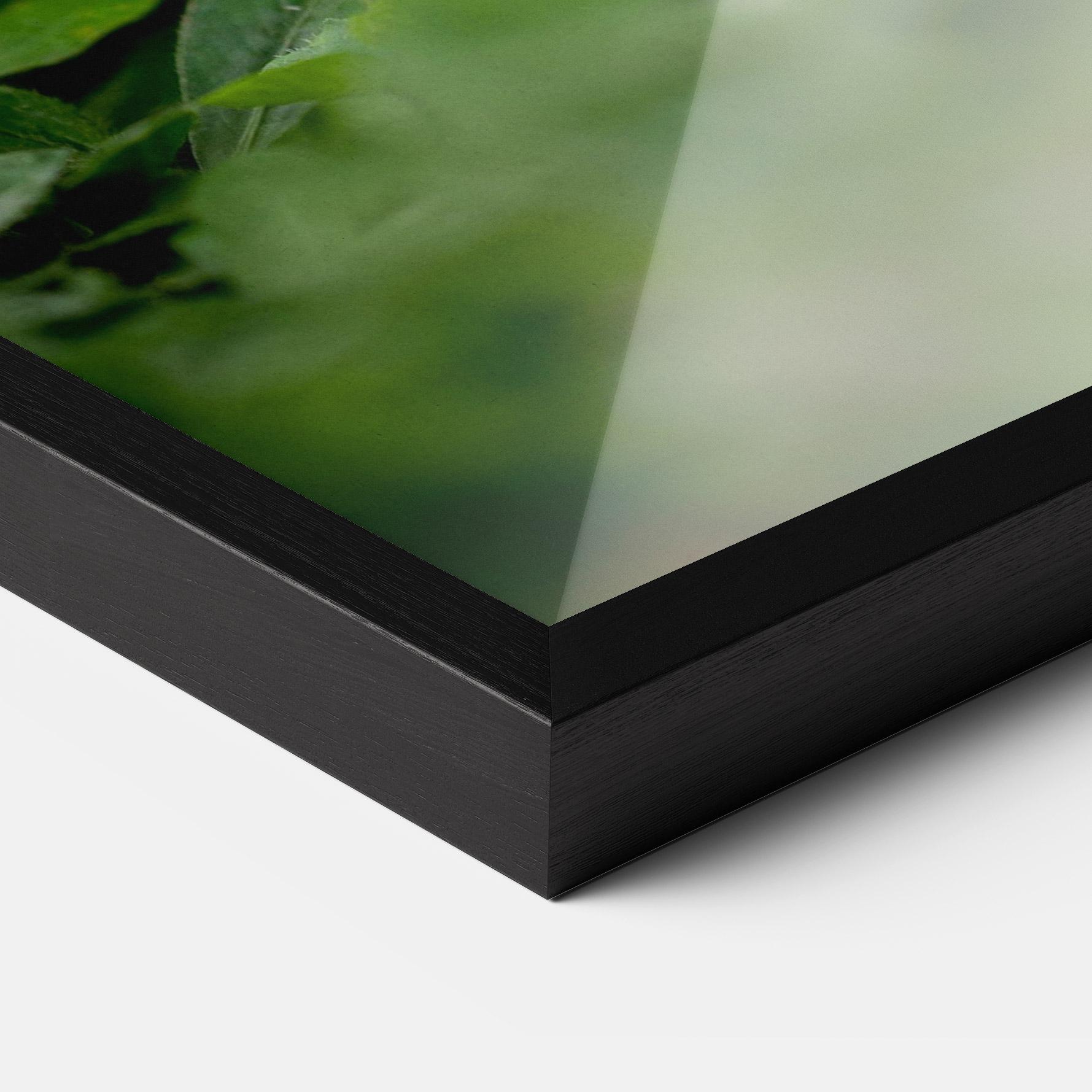 Рамкиран постер White Black Bunny mockup 3