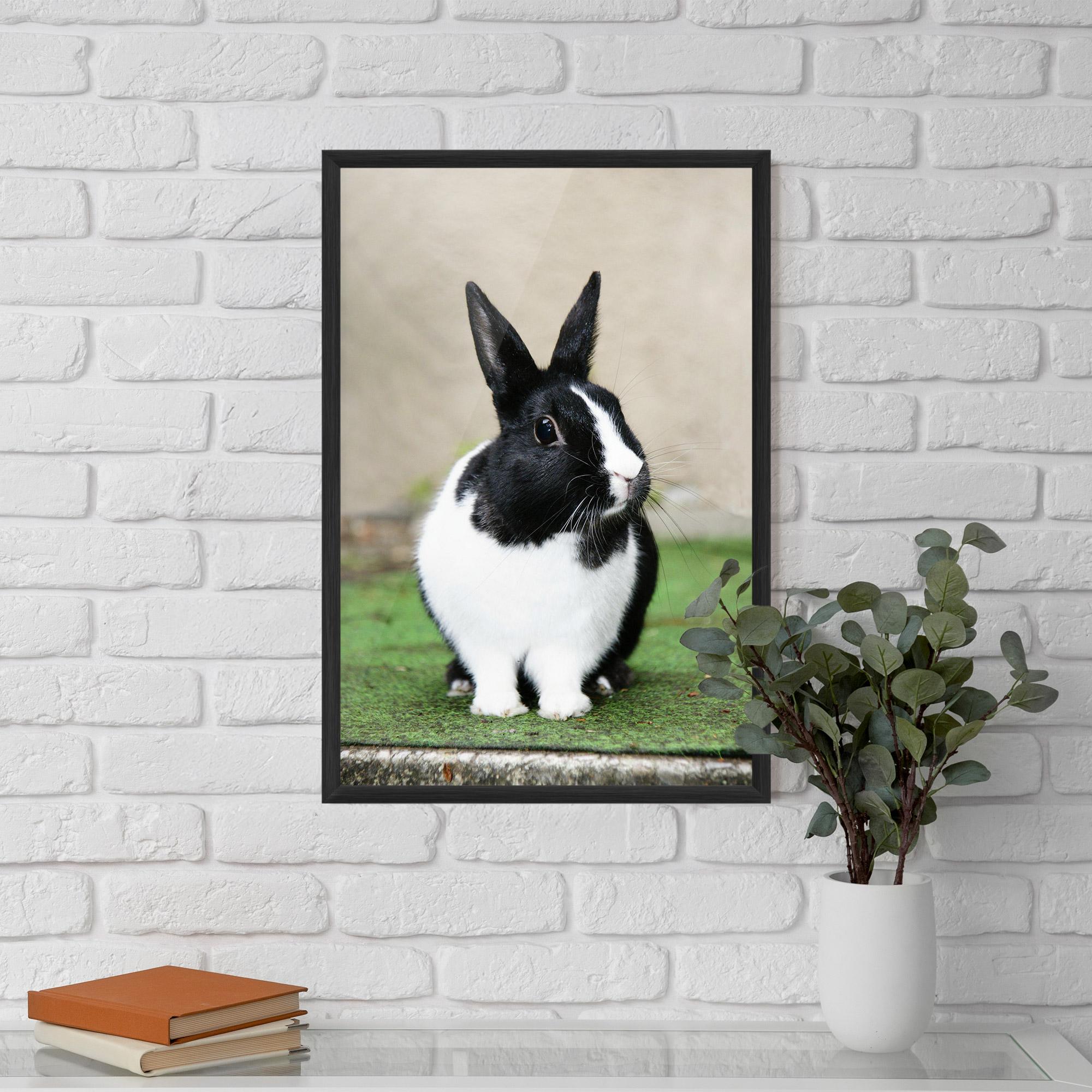 Рамкиран постер Black Ear Rabbit mockup 5
