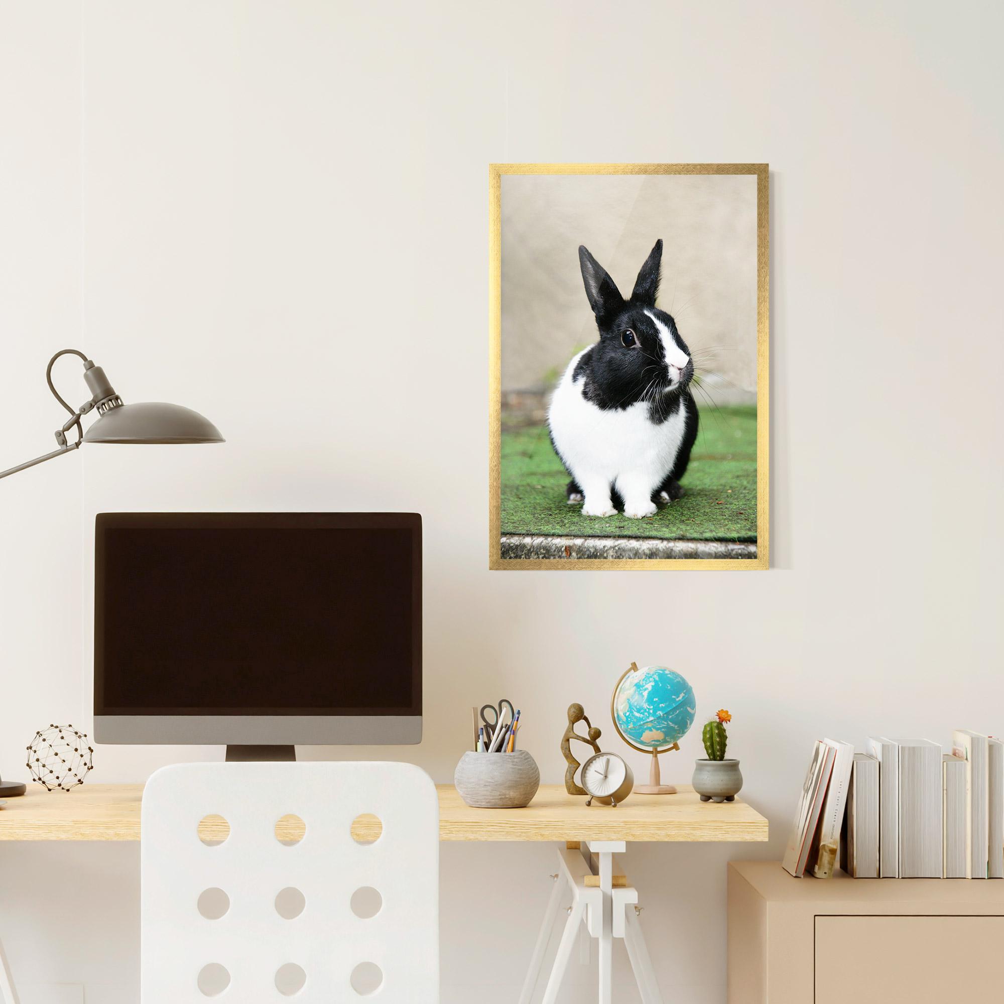 Рамкиран постер Black Ear Rabbit mockup 6