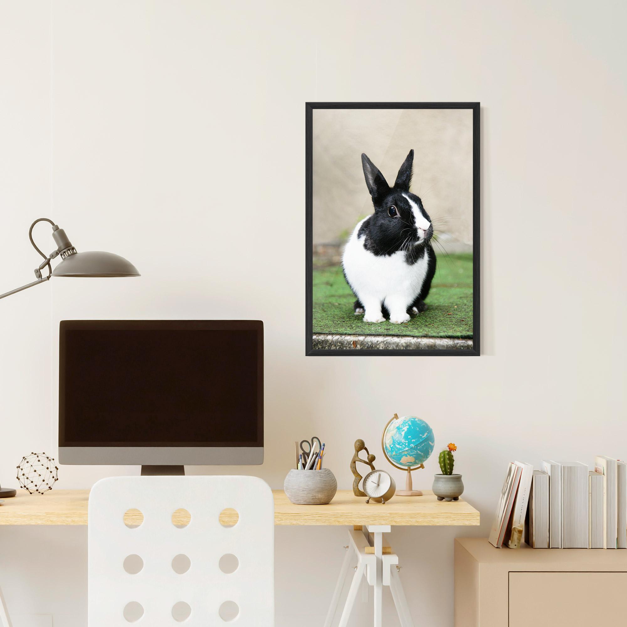 Рамкиран постер Black Ear Rabbit mockup 6