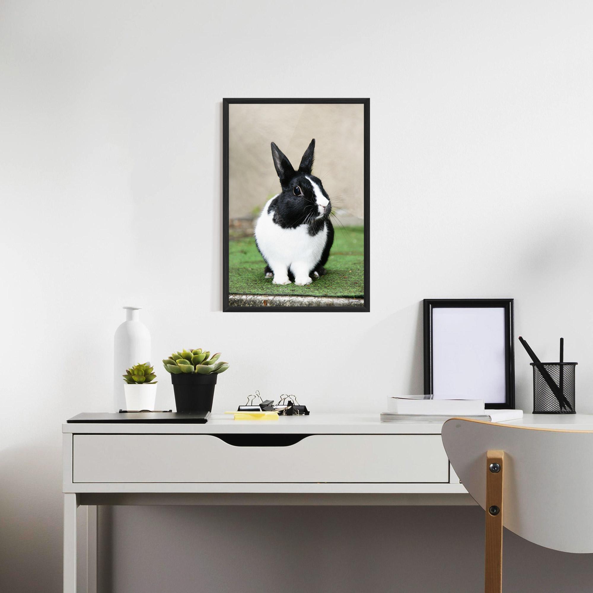 Рамкиран постер Black Ear Rabbit mockup 7