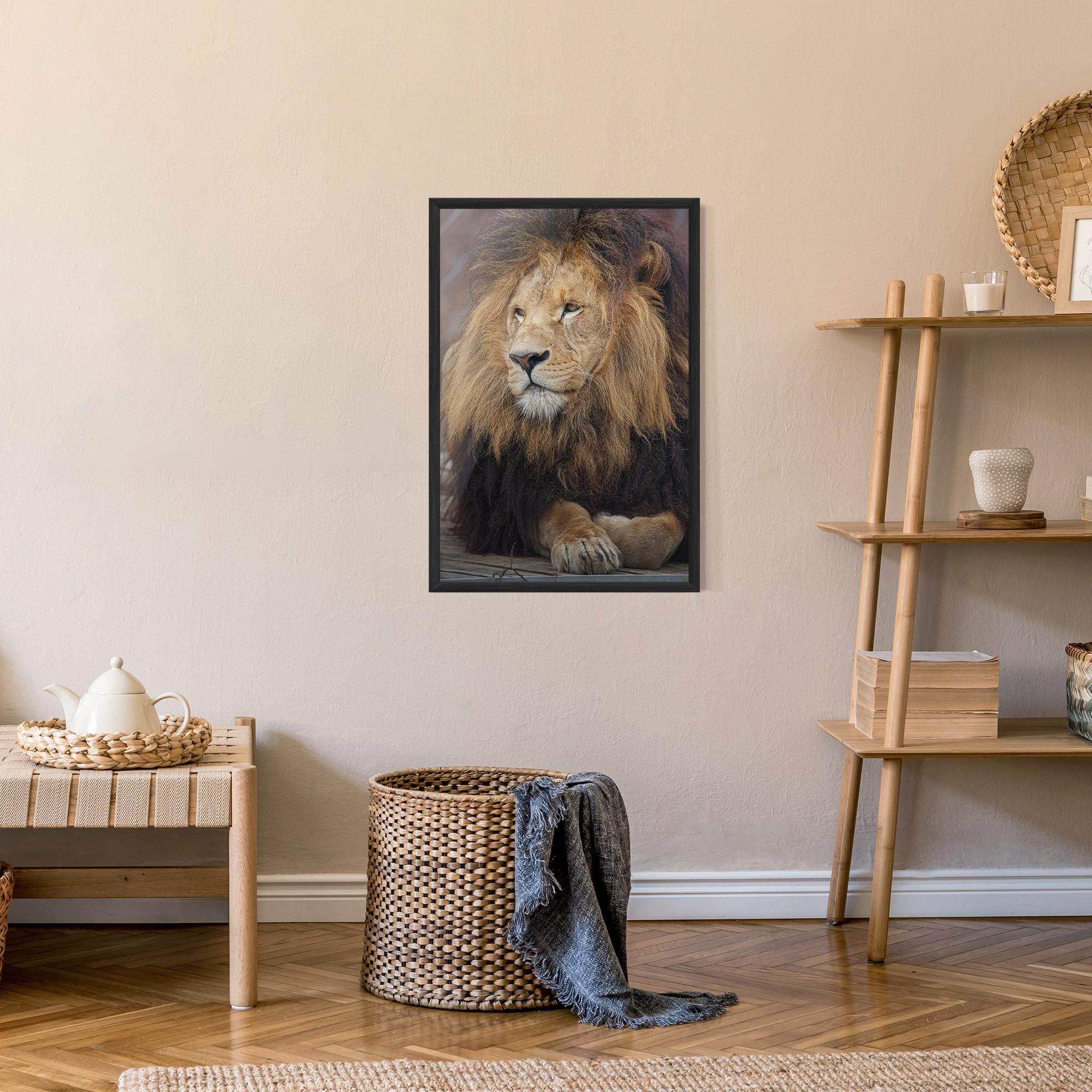 Рамкиран постер Lion Chilling mockup 9