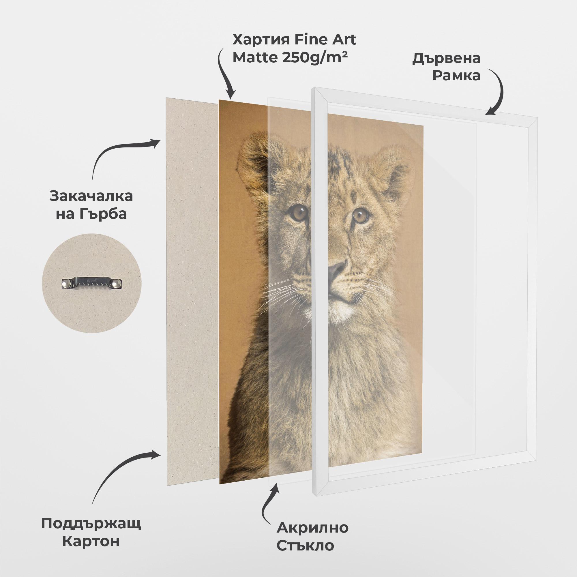 Рамкиран постер Baby Lion mockup 1