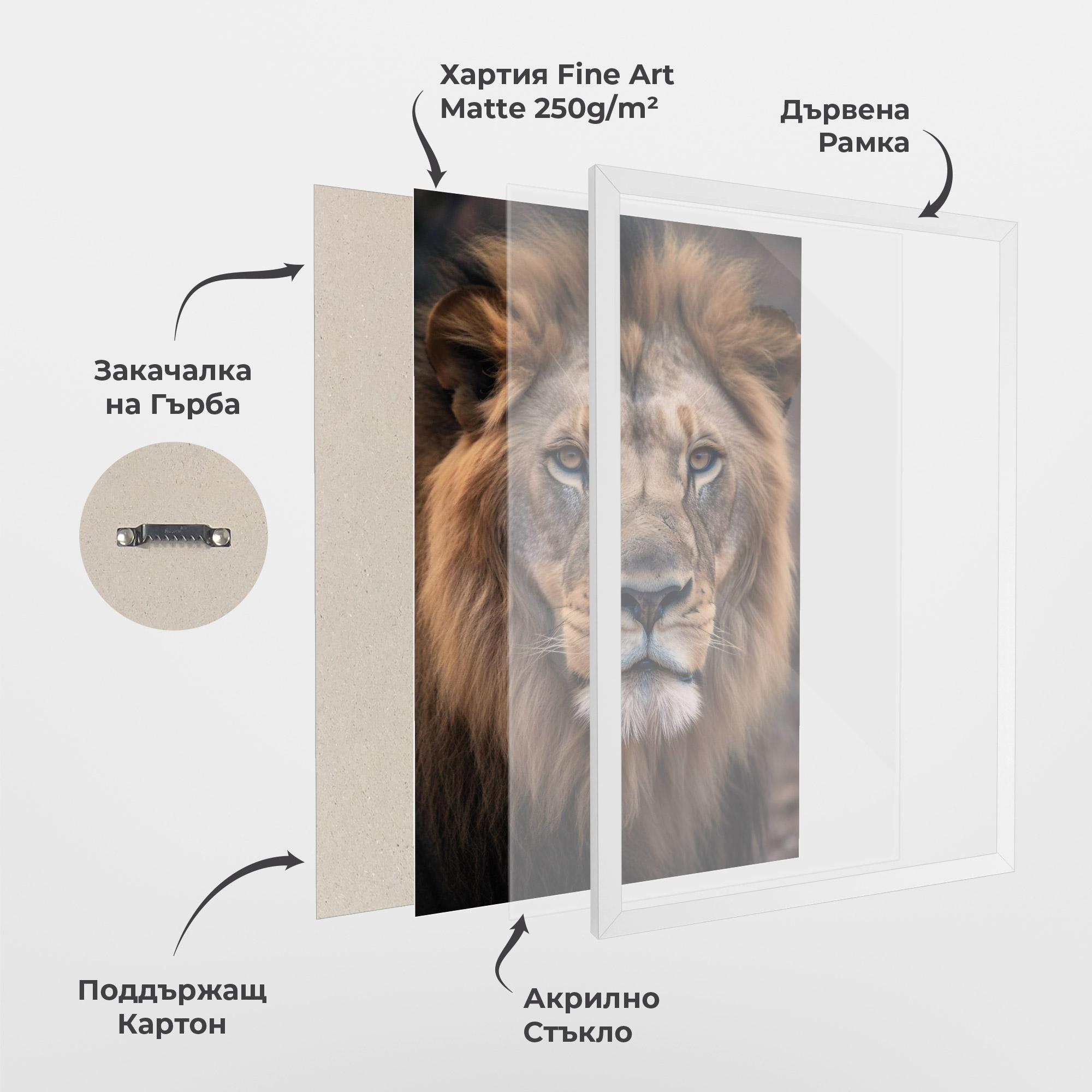 Рамкиран постер Wild Lion View mockup 1