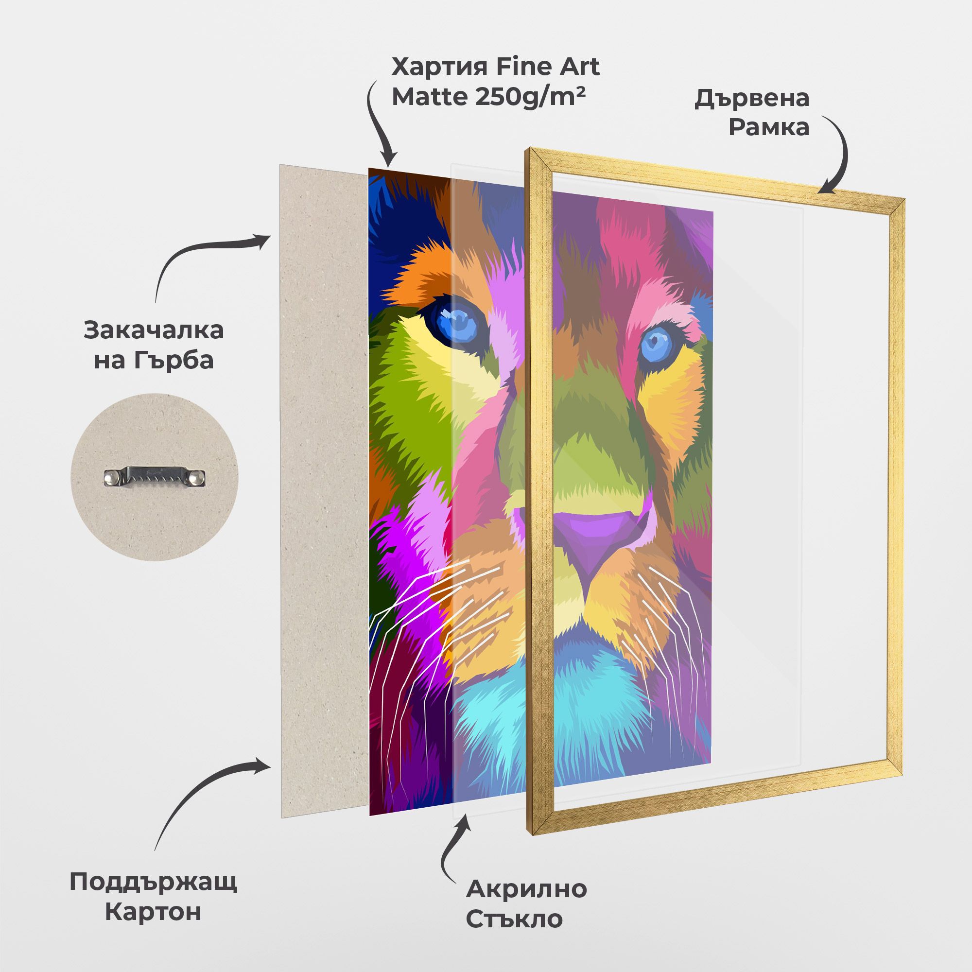 Color Lion Close Up mockup 1