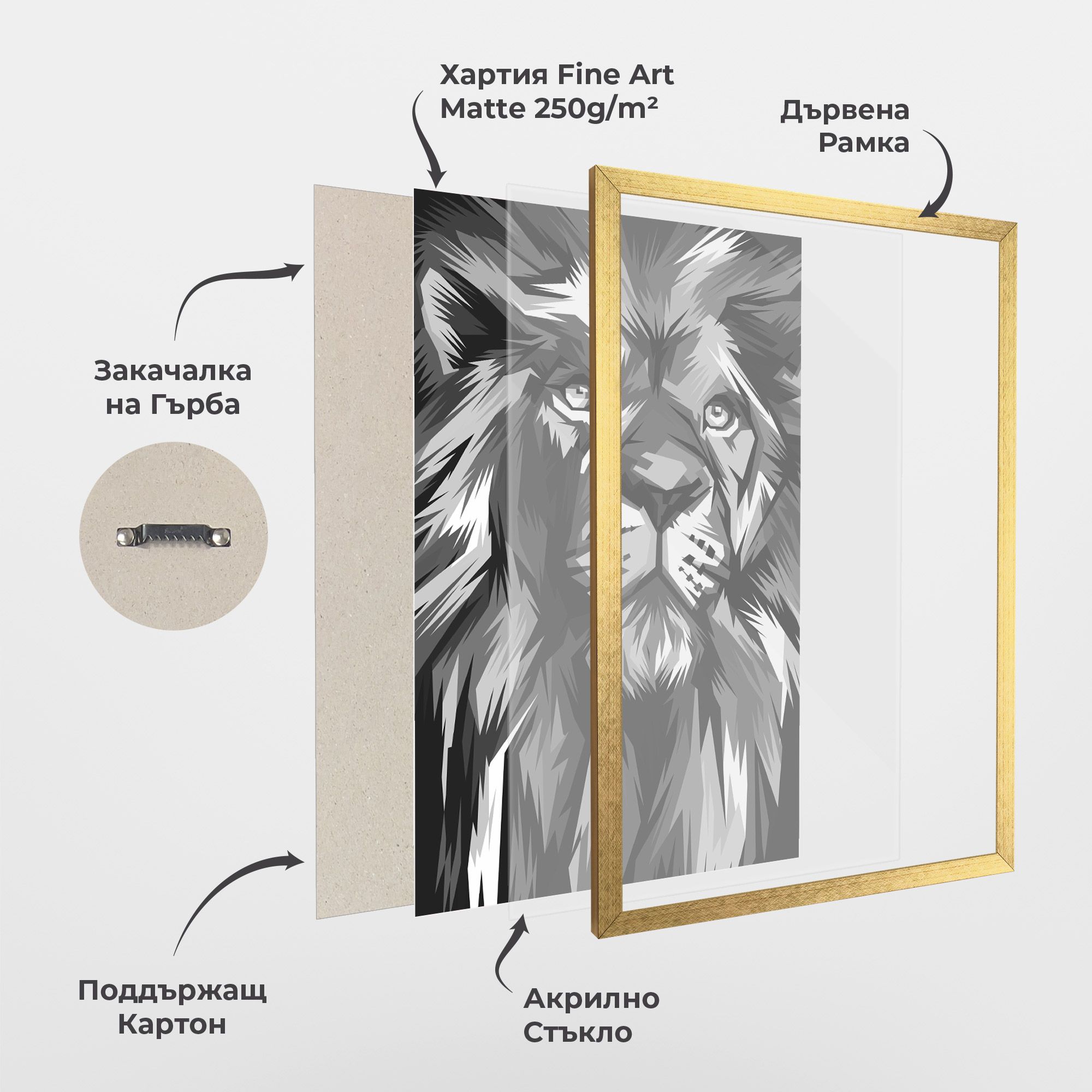 Grey Head Lion mockup 1