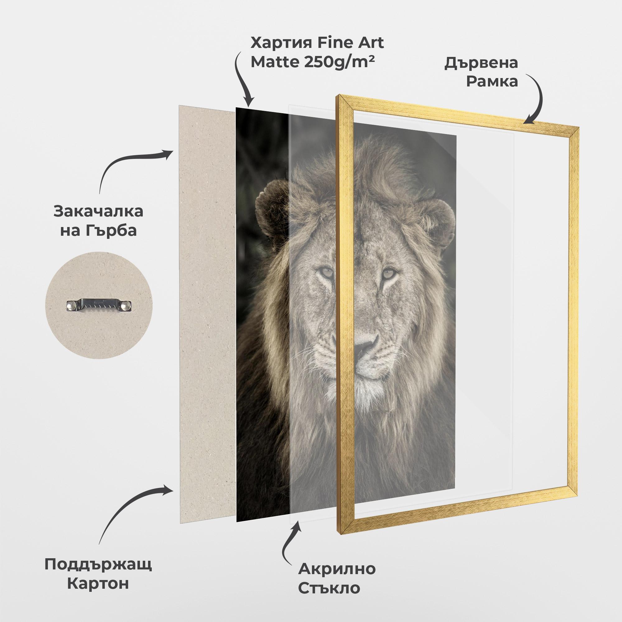 Рамкиран постер Lion Close Up mockup 1