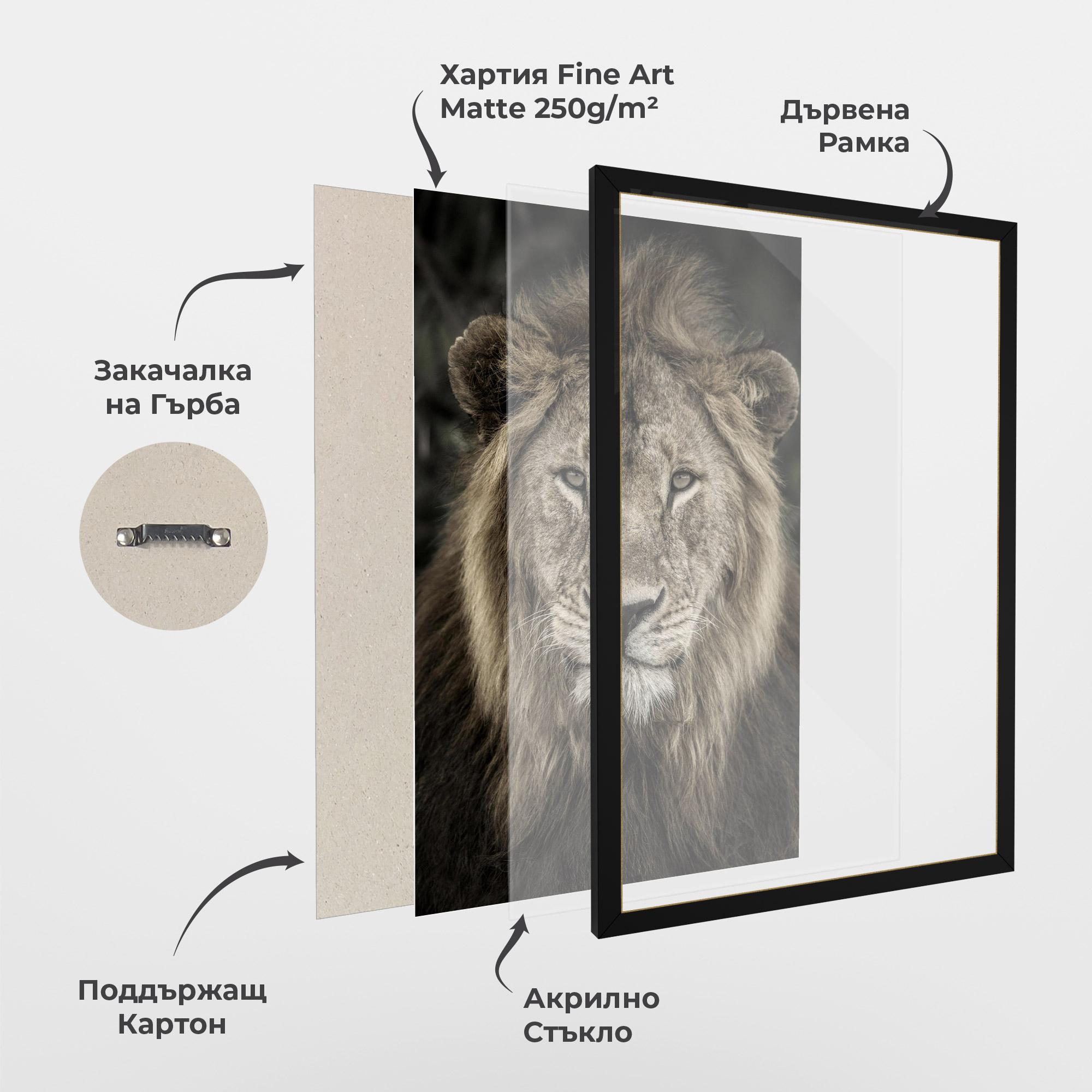 Рамкиран постер Lion Close Up mockup 1