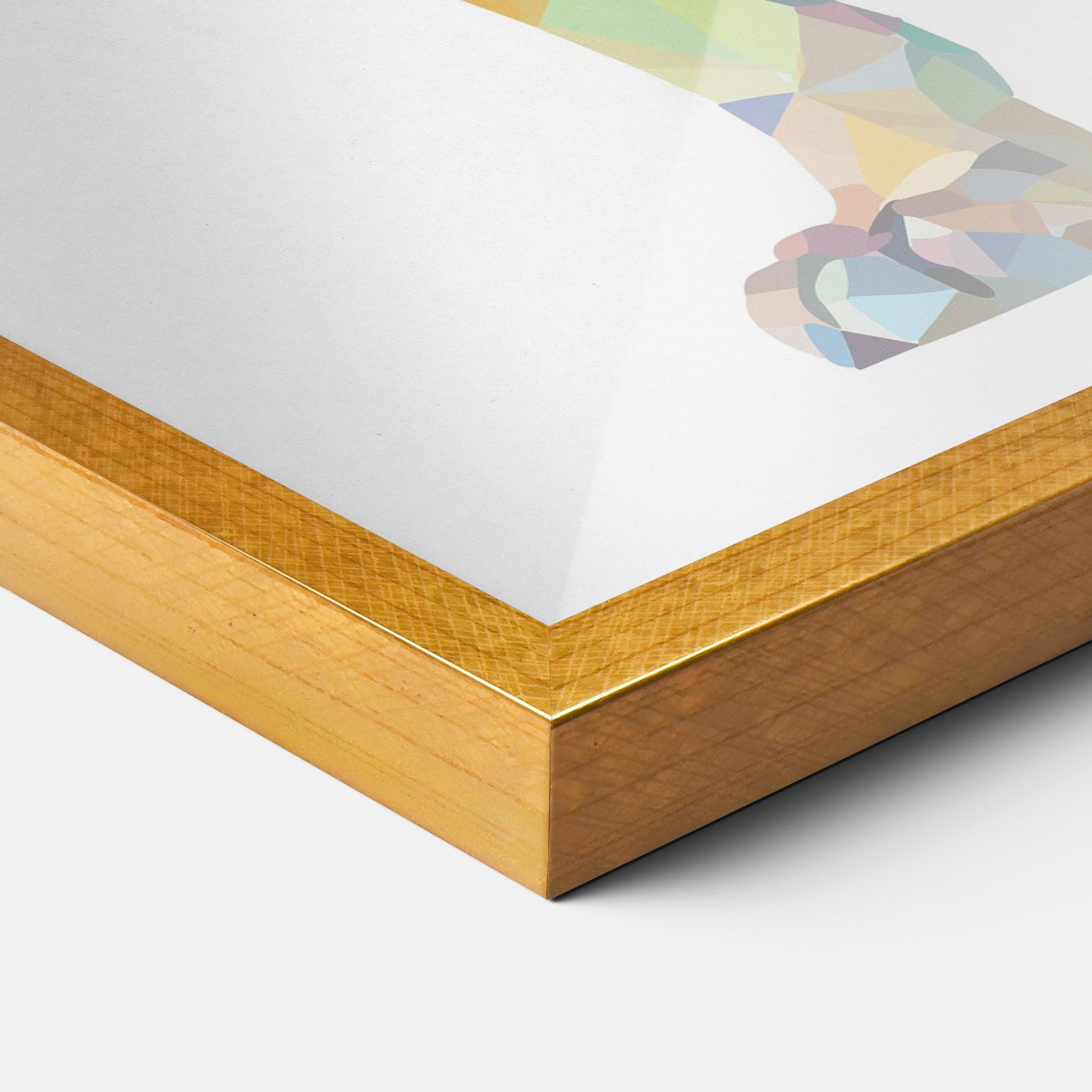 Artistic Lion mockup 3