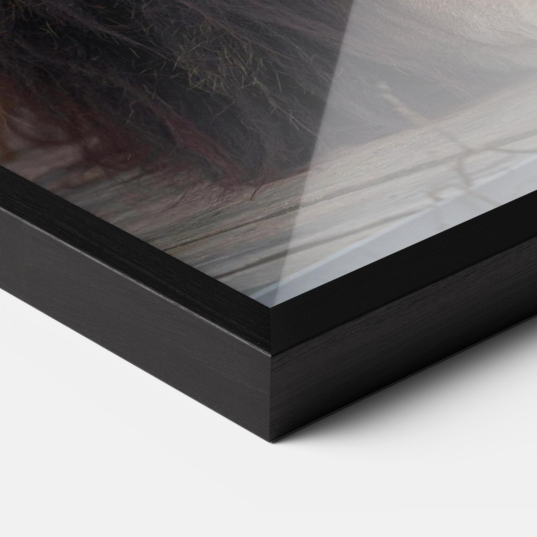 Рамкиран постер Lion Chilling mockup 3