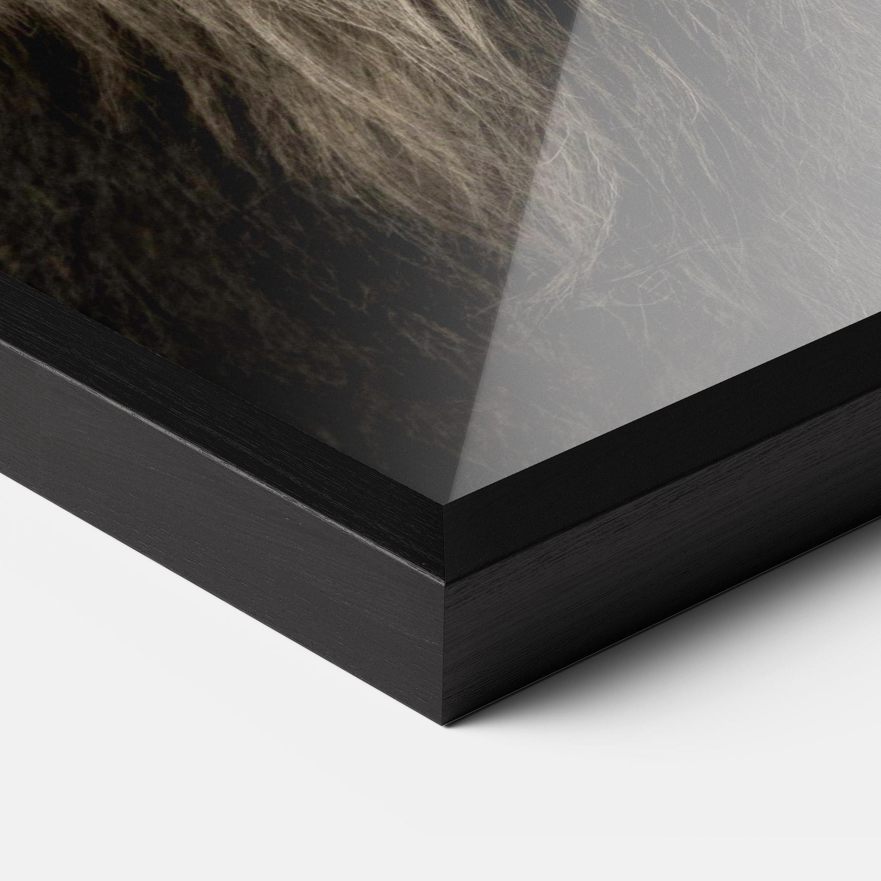 Рамкиран постер Lion Close Up mockup 3