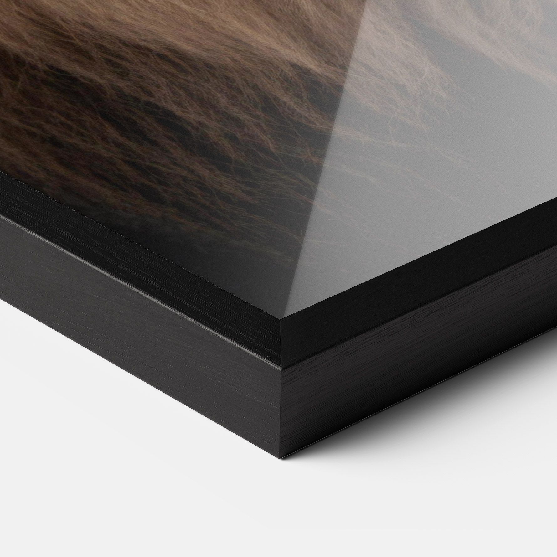 Wild Lion View mockup 3