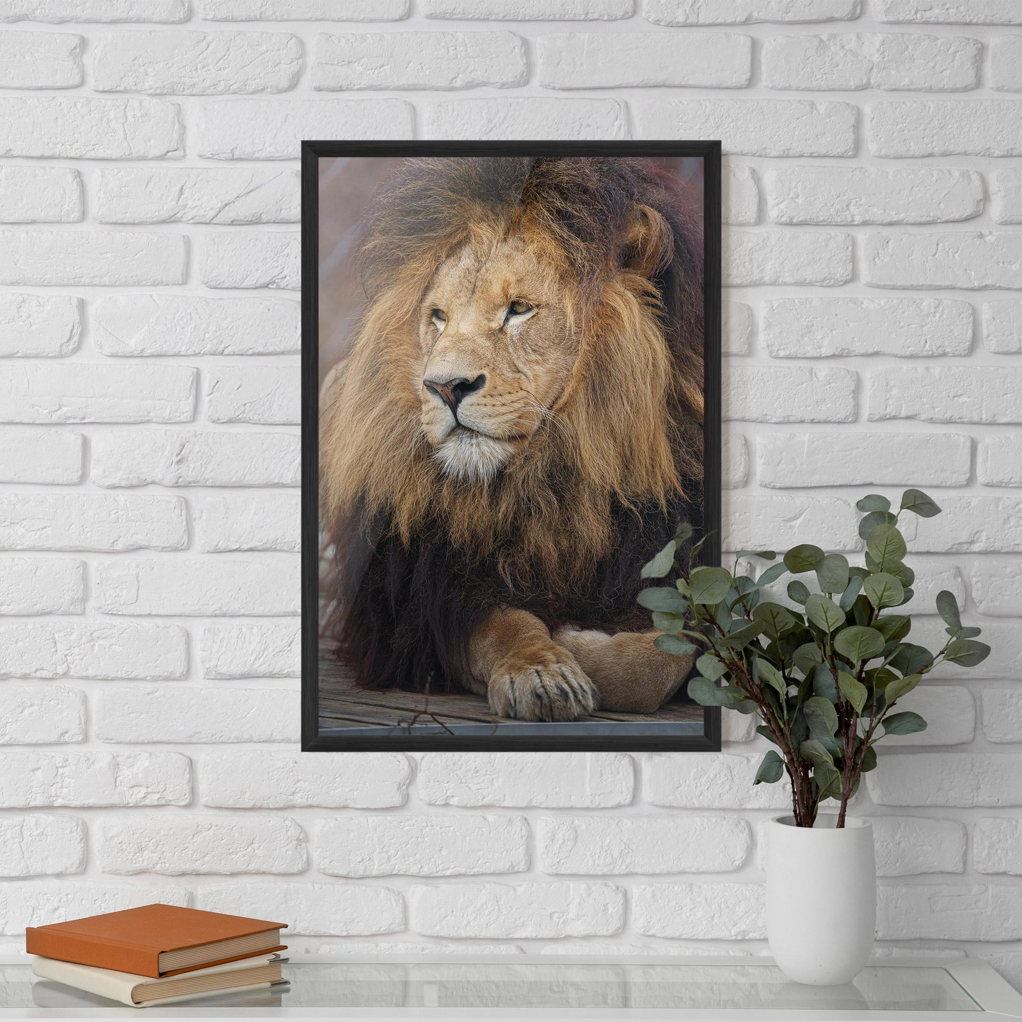 Рамкиран постер Lion Chilling mockup 5