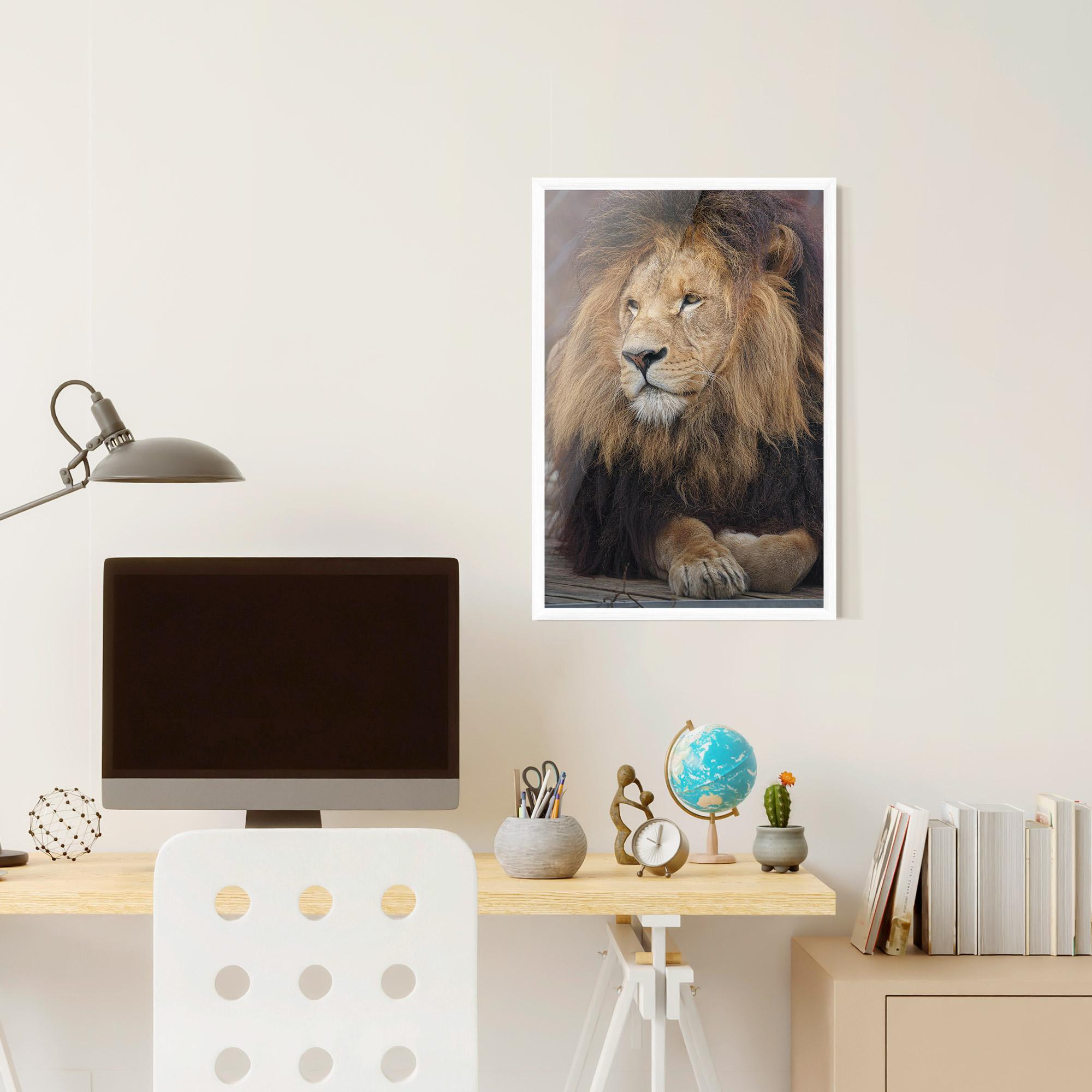 Рамкиран постер Lion Chilling mockup 6