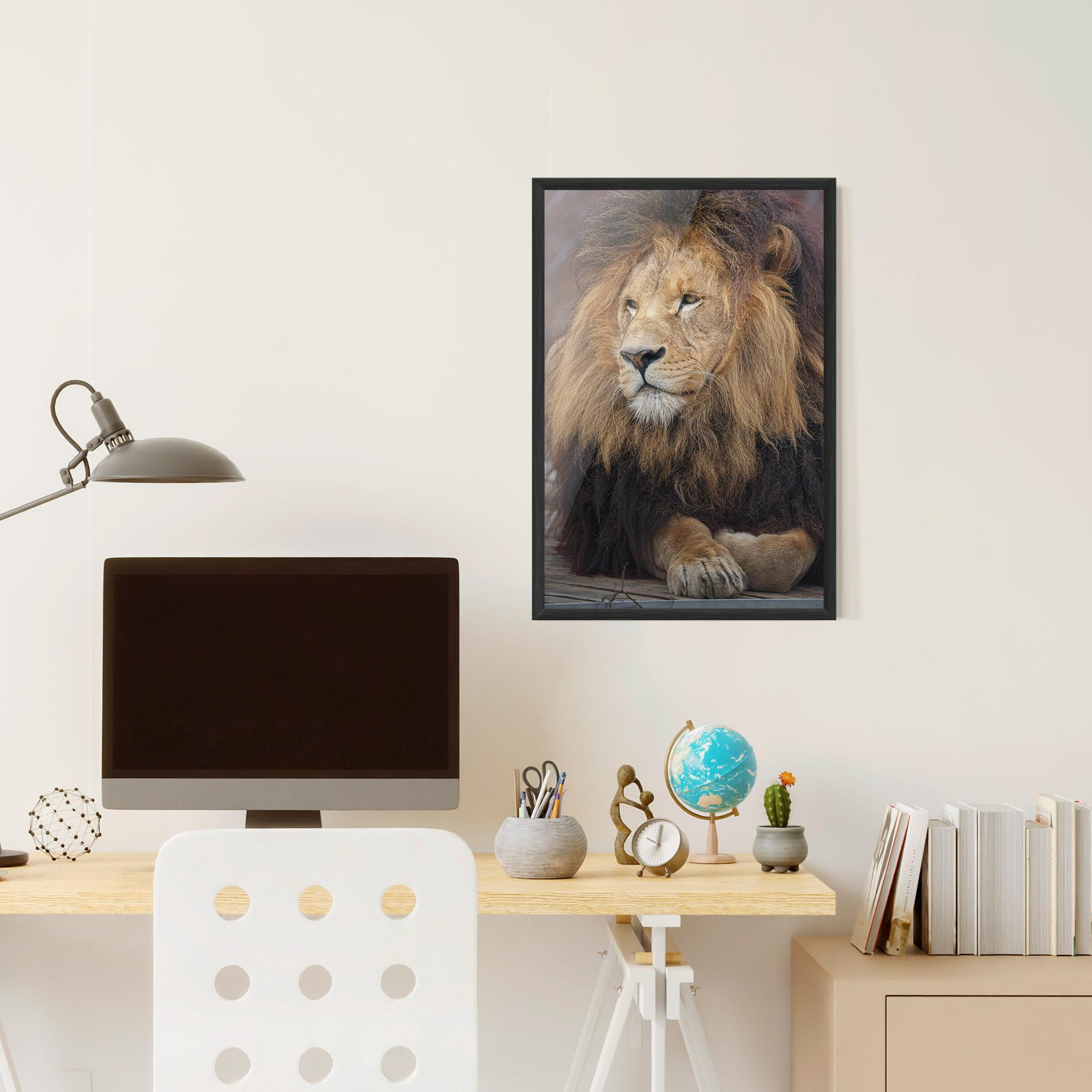 Рамкиран постер Lion Chilling mockup 6
