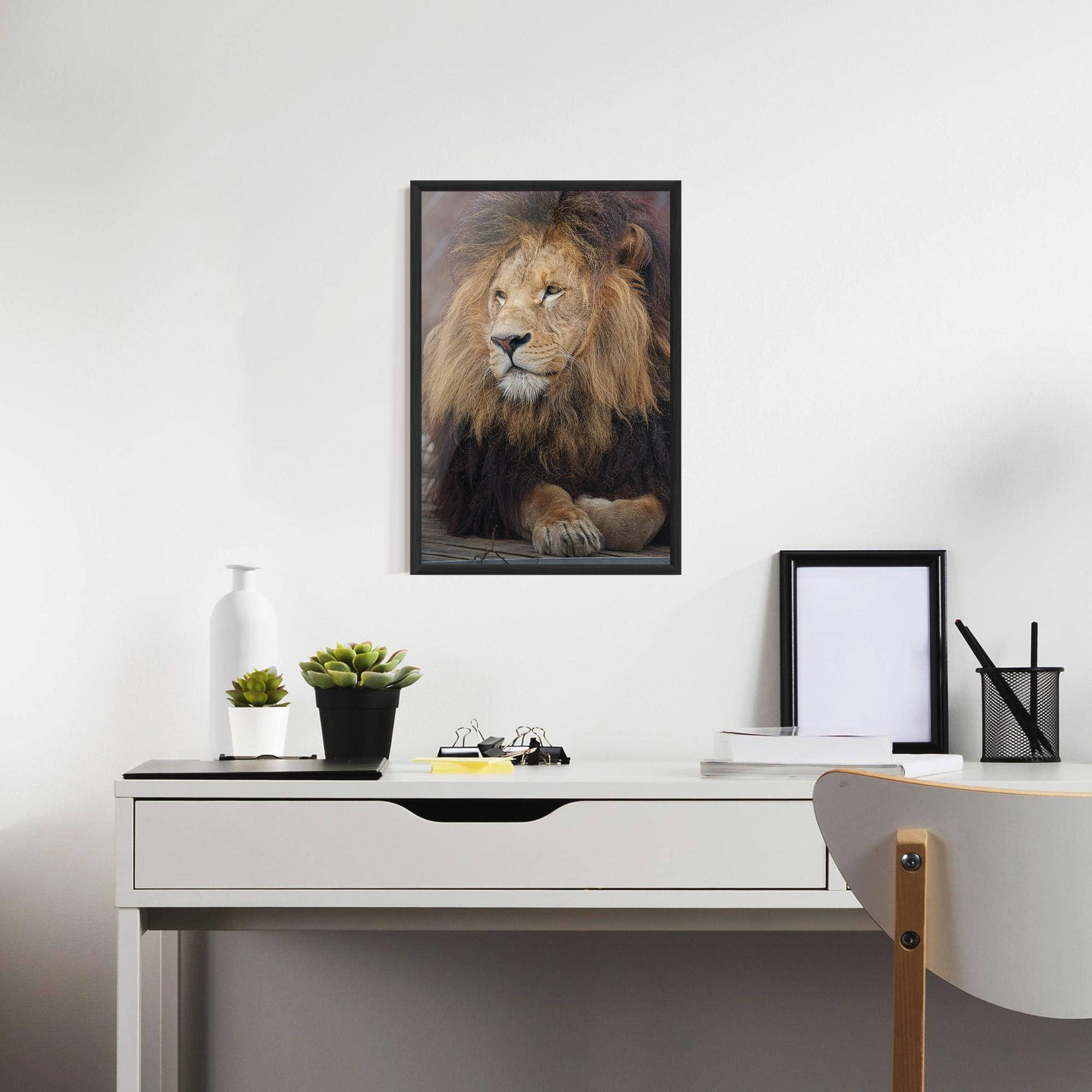 Рамкиран постер Lion Chilling mockup 7